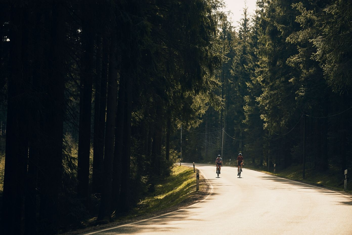 Rennradfahrer auf Waldstraße im Sauerland