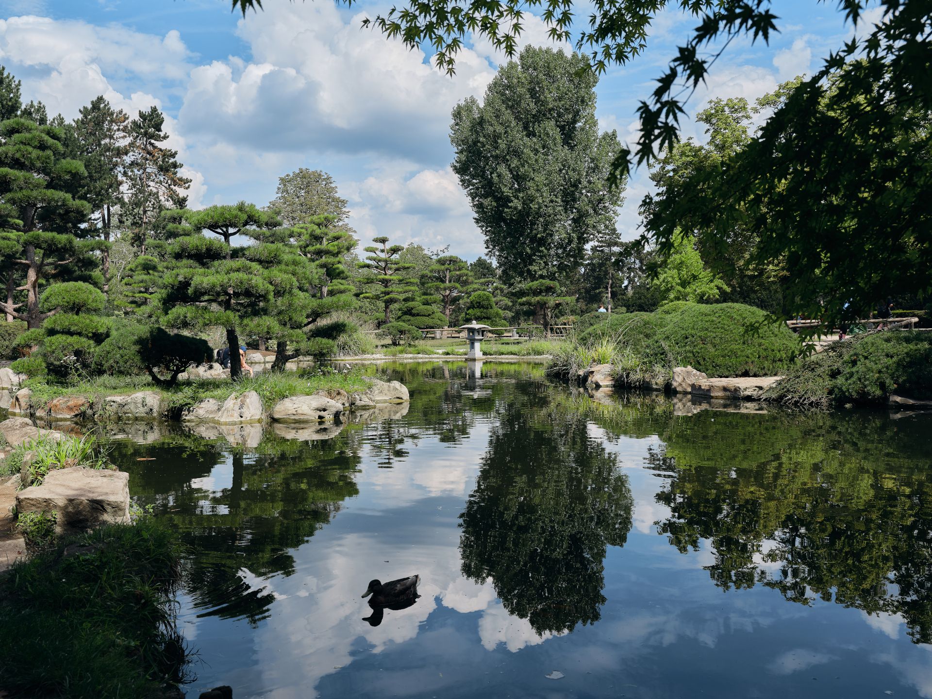 Der Japanische Garten im Nordpark Düsseldorf strahlt Ruhe aus.