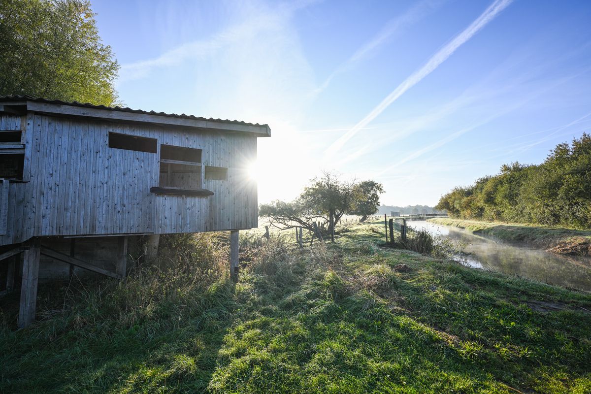 Naturschutzgebiet Rieselfelder