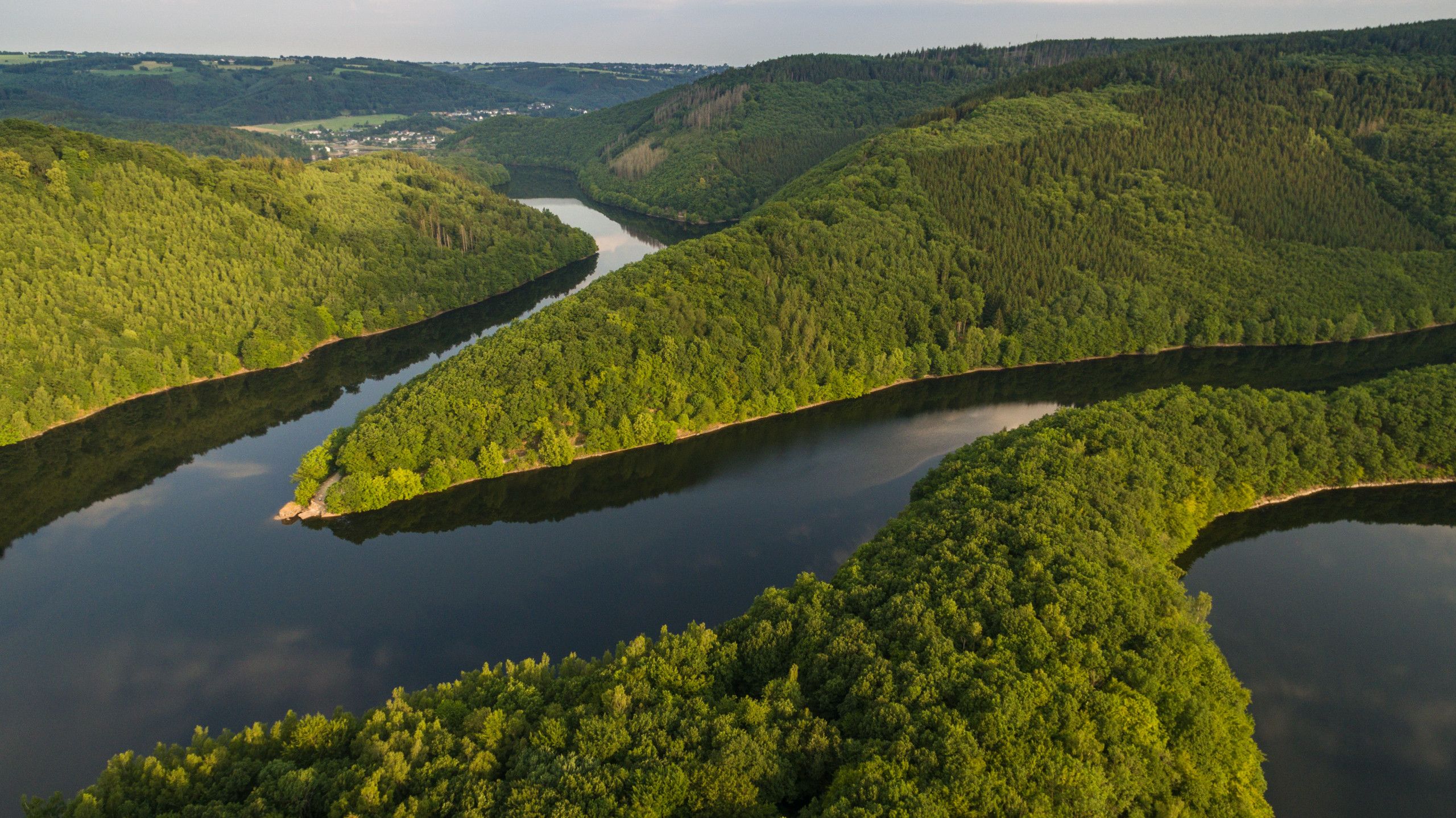 Luftaufnahme der Urfttalsperre in der Eifel. Der Fluss schlängelt sich durch bewaldete Hügel.