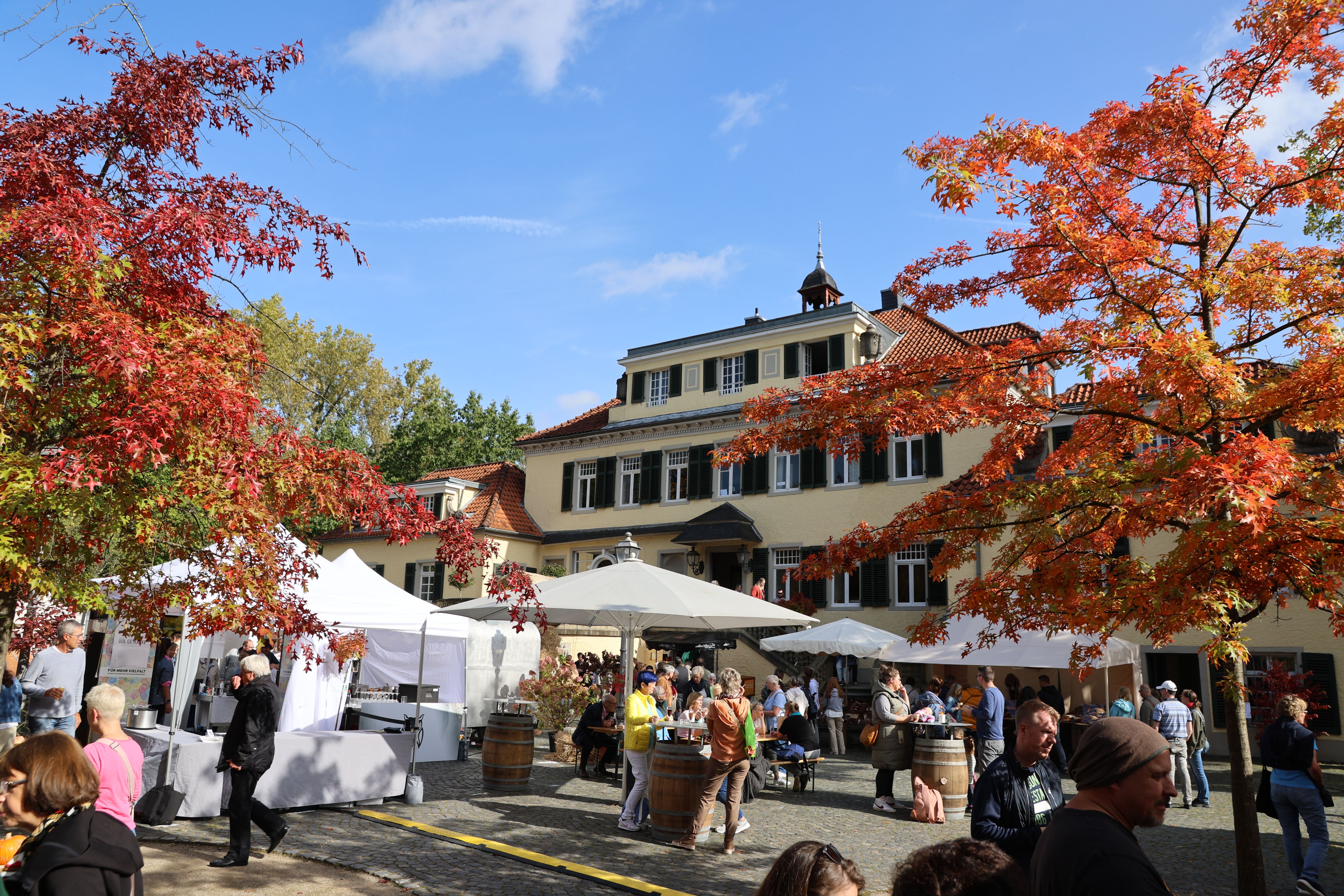 Der Herbstmarkt vor Schloss Eulenbroich zeichnet sich durch bunte Bäume, weiße Stände und zahlreiche Besucher aus.