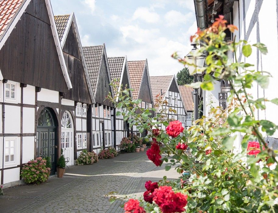 Fachwerkhäuser in Rheda-Wiedenbrück mit roten Rosen im Vordergrund.