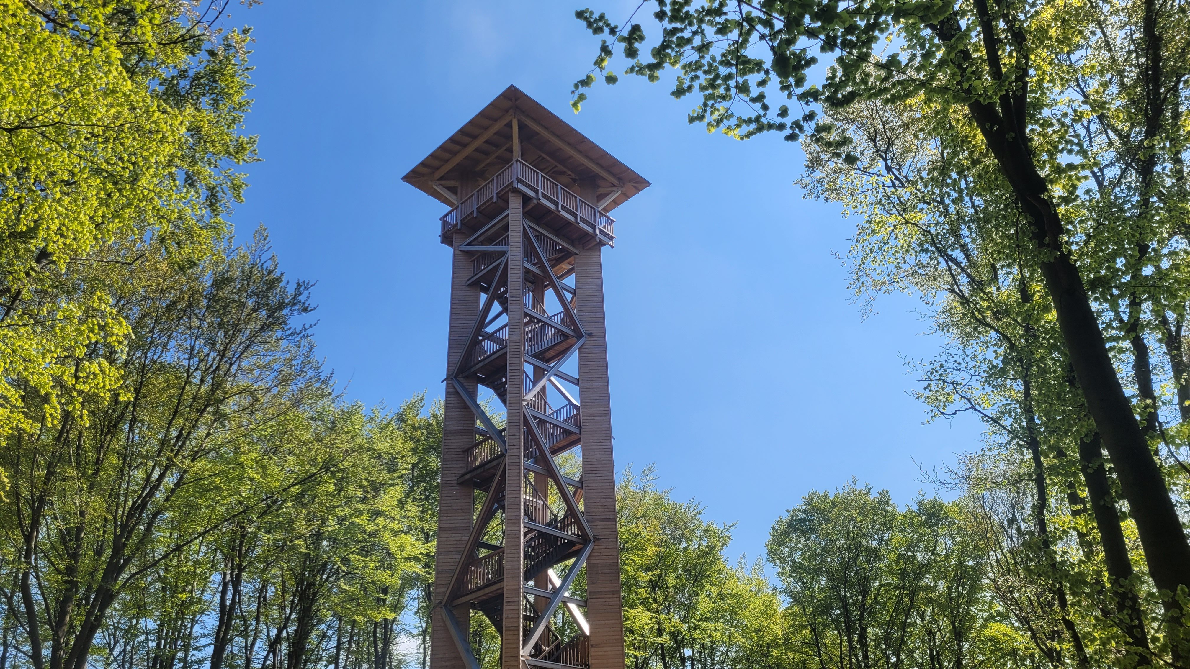 Ein hölzerner Aussichtsturm ragt in den blauen Himmel, umgeben von grünen Bäumen.