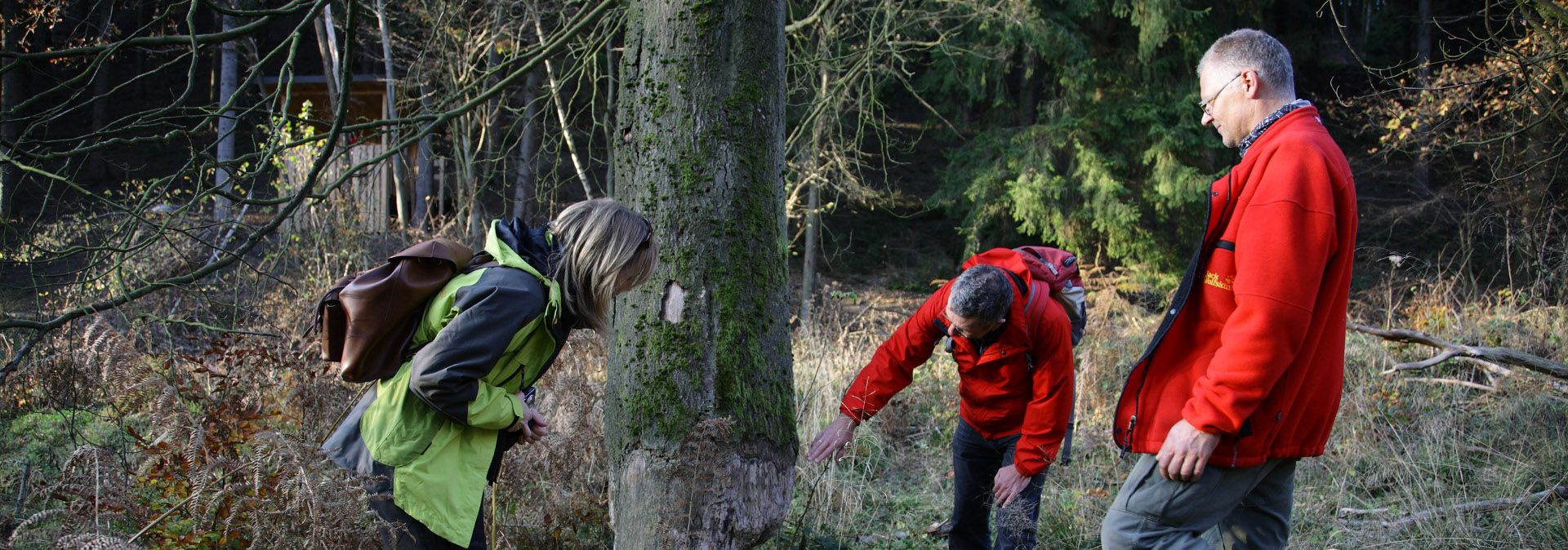 Zur Seite Der Lebensraum des Bibers