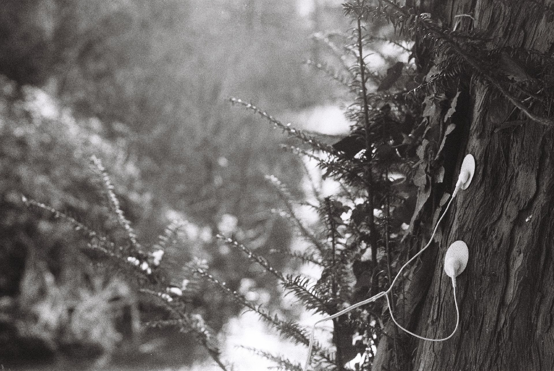 Zur Seite Chained to the Rhythm. Von Mensch und Natur