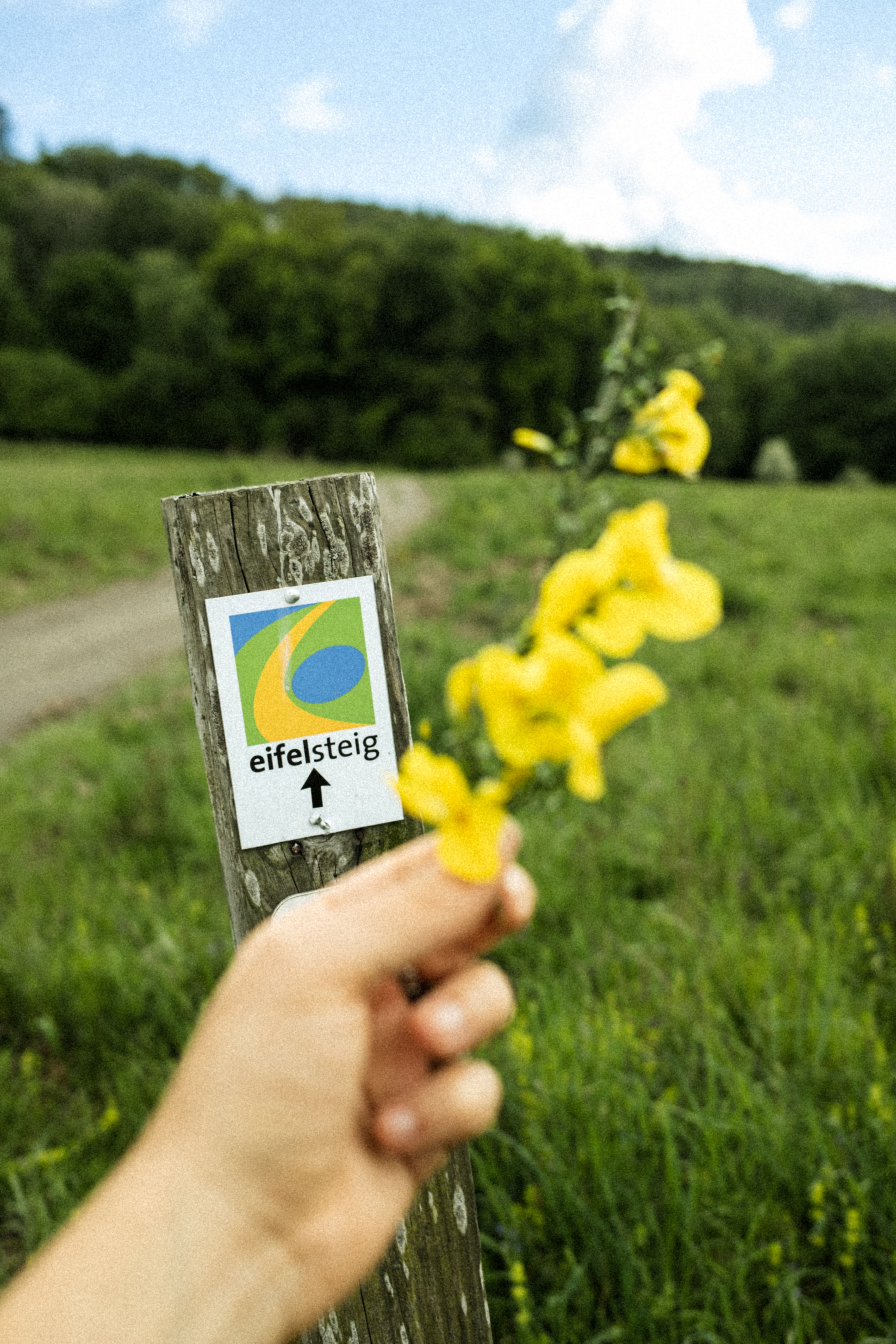 Molle & Korn, Henri Schade, Eifelsteig Schild an Feldweg mit Blumen.