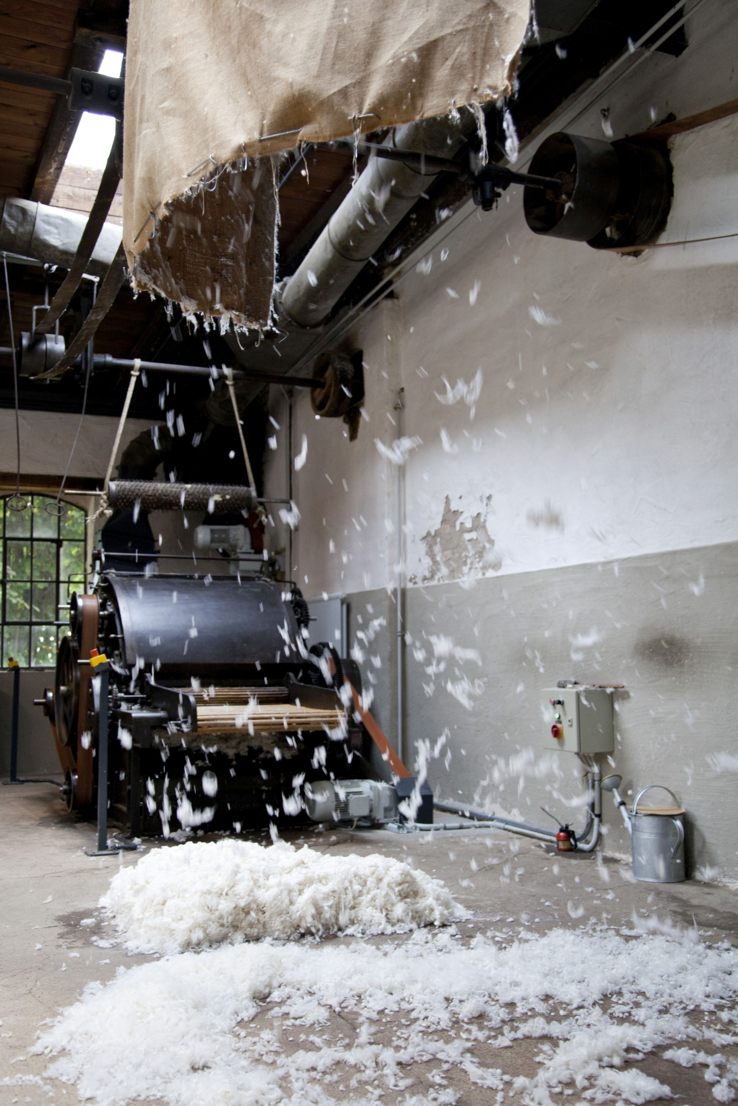 Krempelwolf von 1898