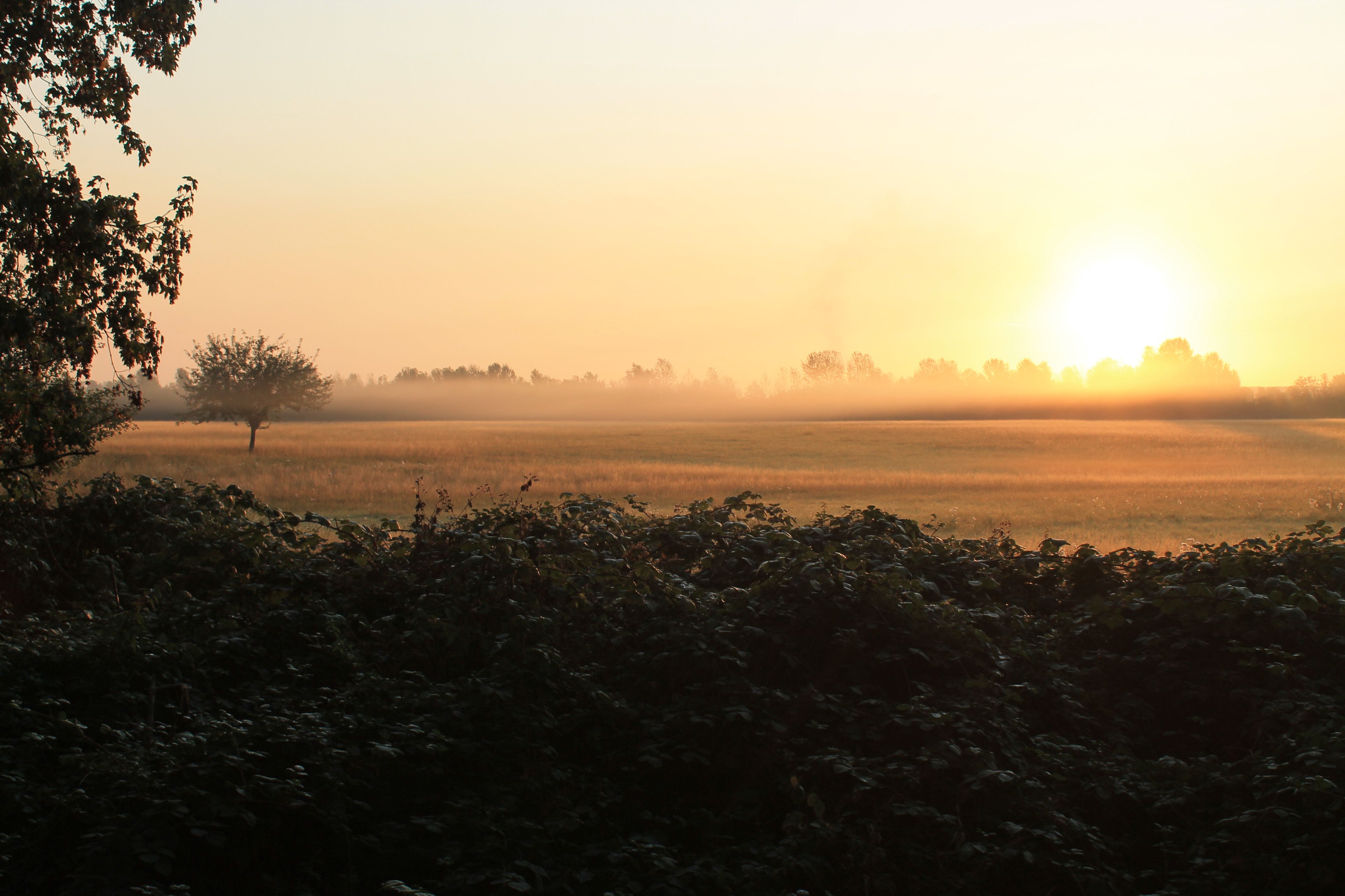 Zur Seite Der Erft-Radweg