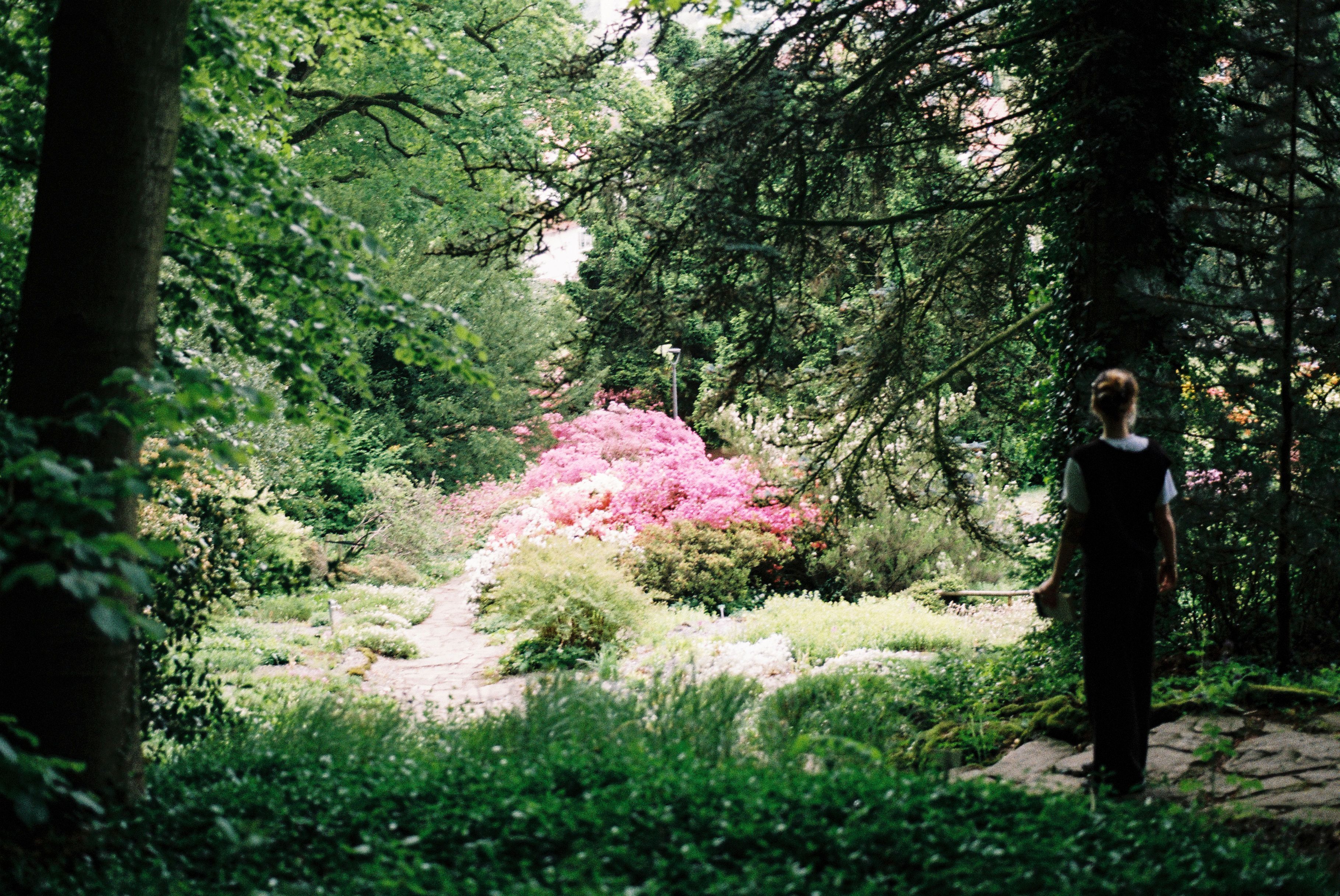 Zur Seite Botanischer Garten Bielefeld 