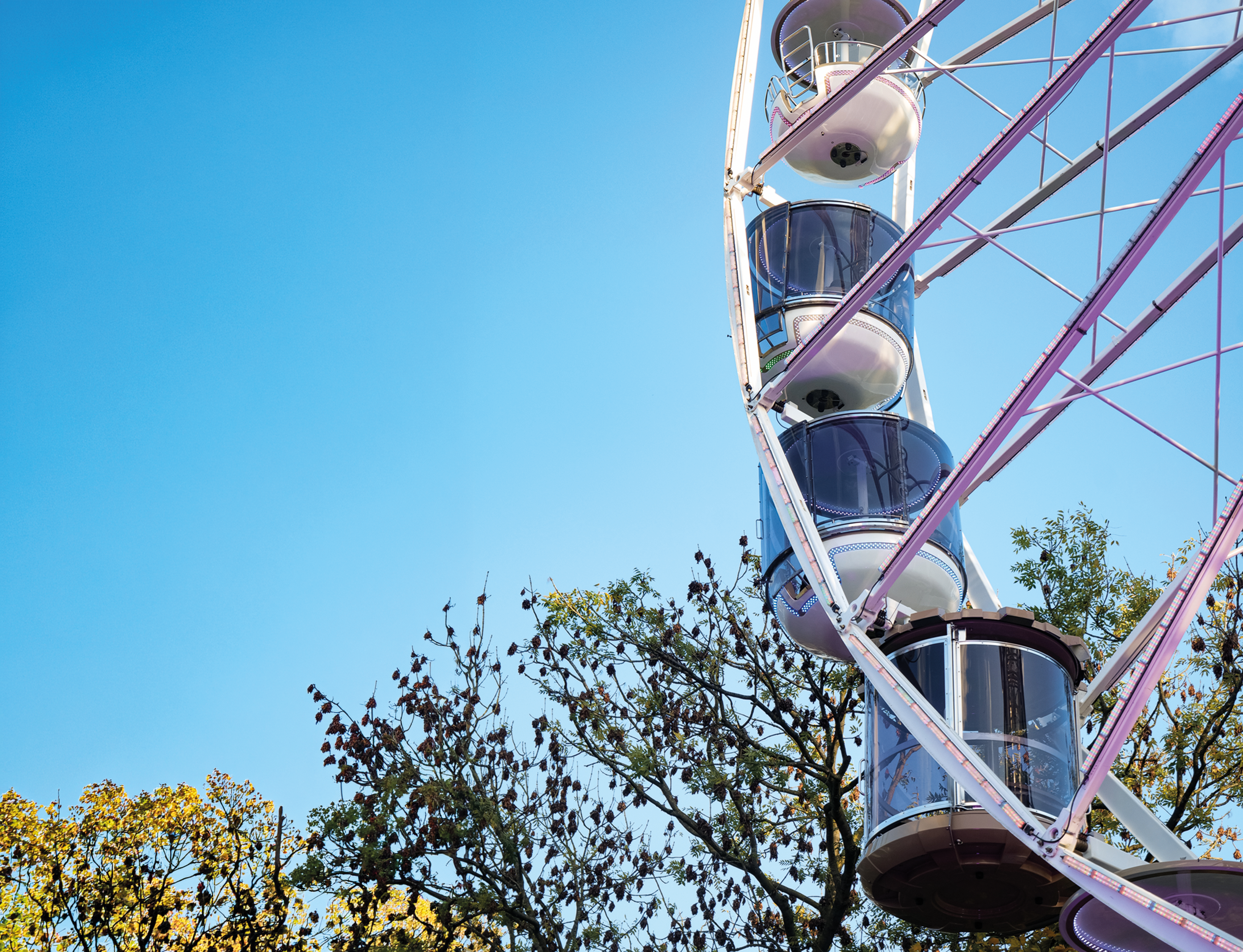 Riesenrad mit transparenten Gondeln vor blauem Himmel und Bäumen.