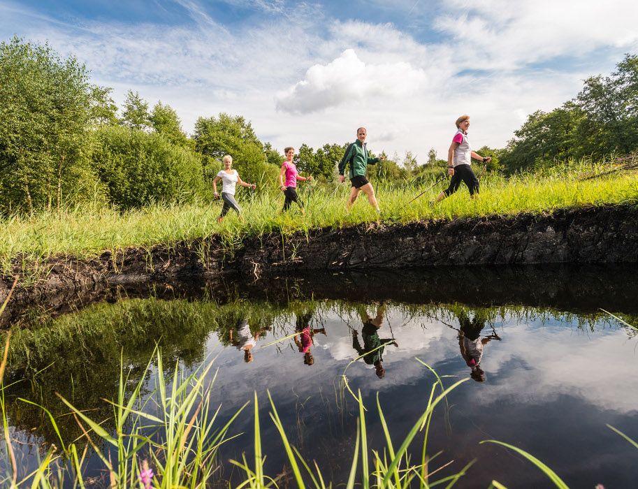 Vier Personen spazieren entlang eines Moorgrabens in einer grünen Landschaft.