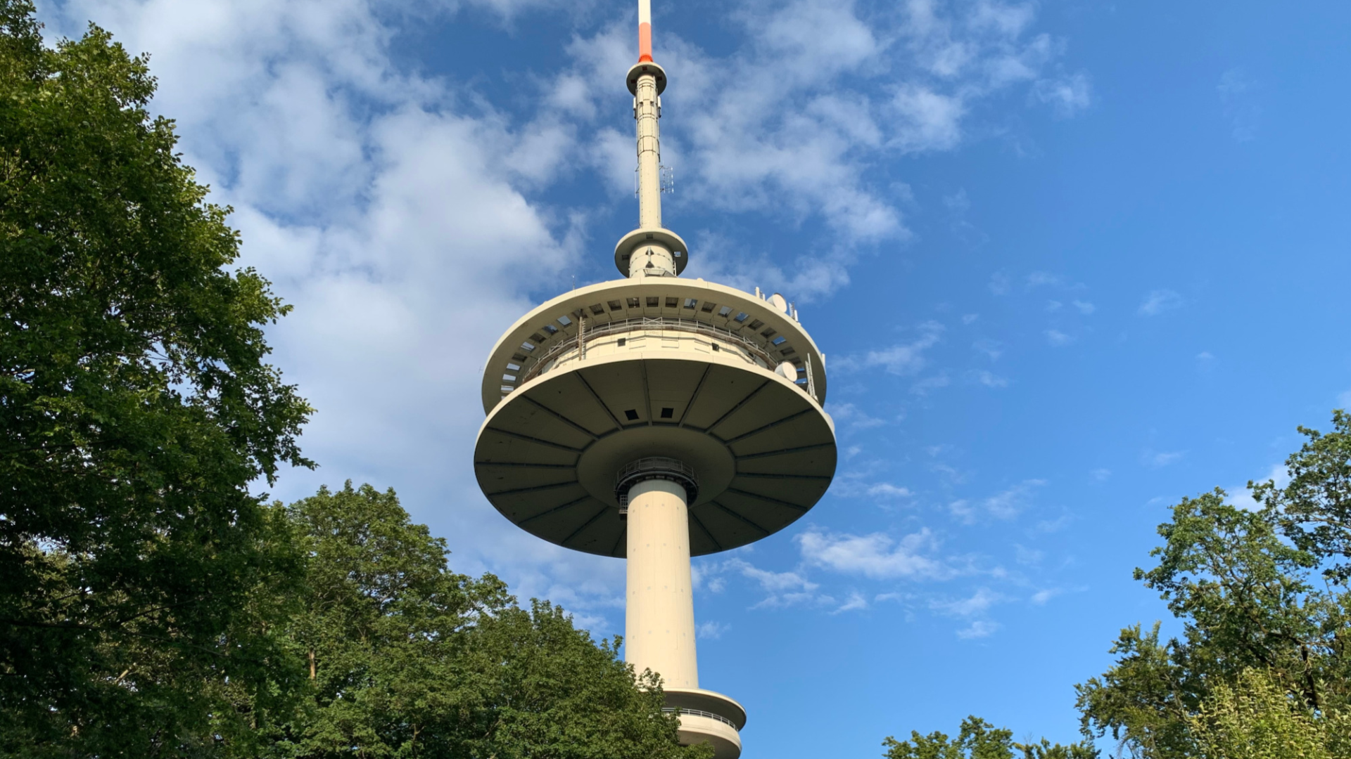 Der Fernsehturm erhebt sich über den Baumwipfeln vor blauem Himmel und ist ein markantes Wahrzeichen der Region.