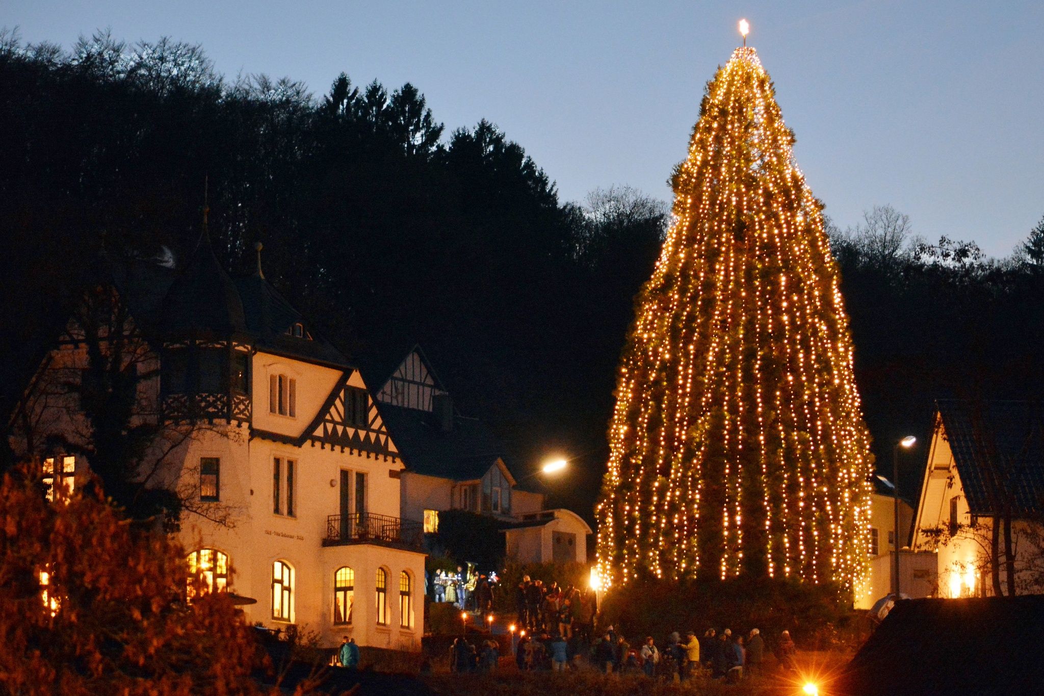 Freudenberger Advent