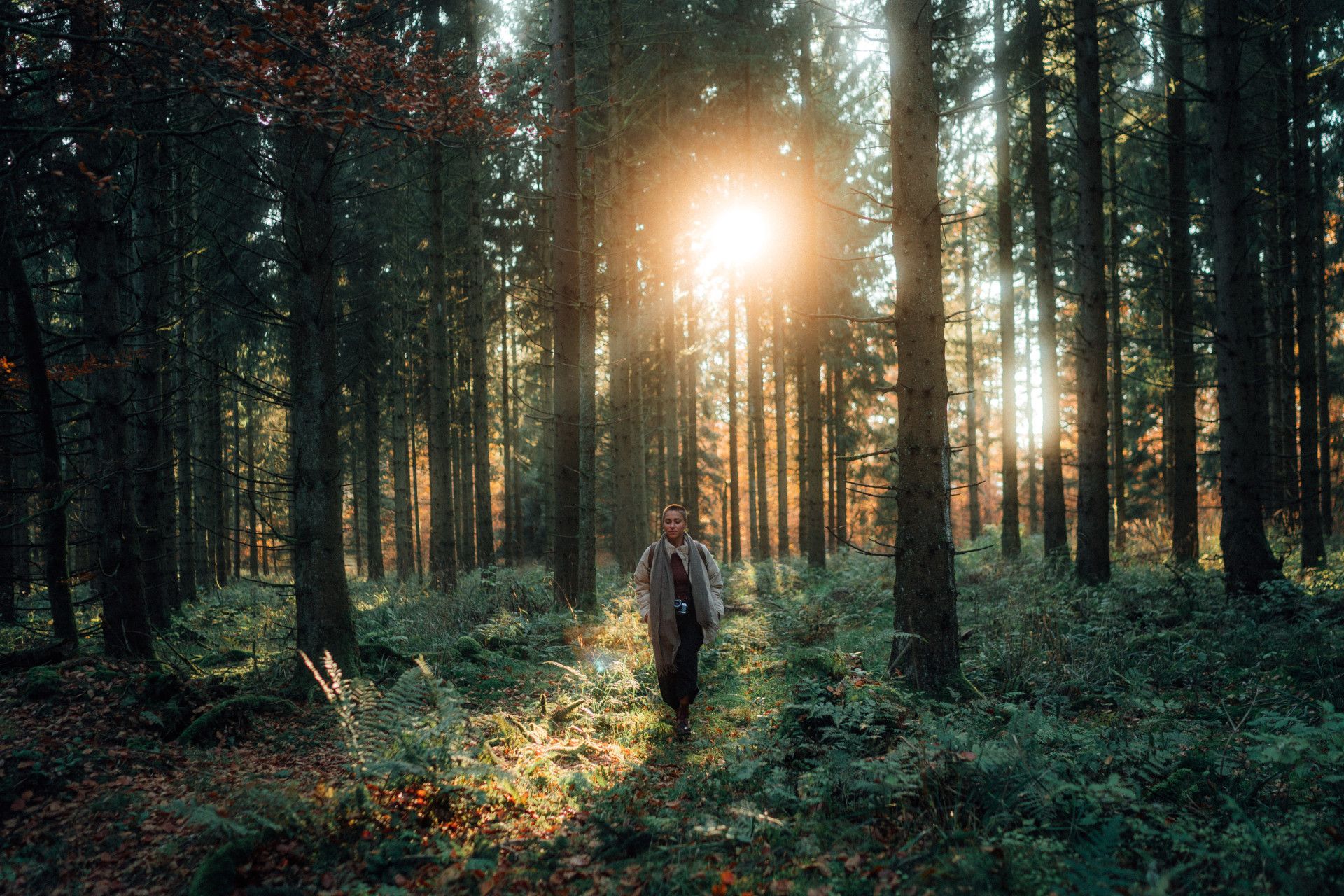 Zur Seite Auszeit in der Natur