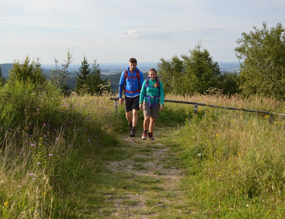 Zwei Wanderer auf einem Pfad in einer grünen Landschaft.