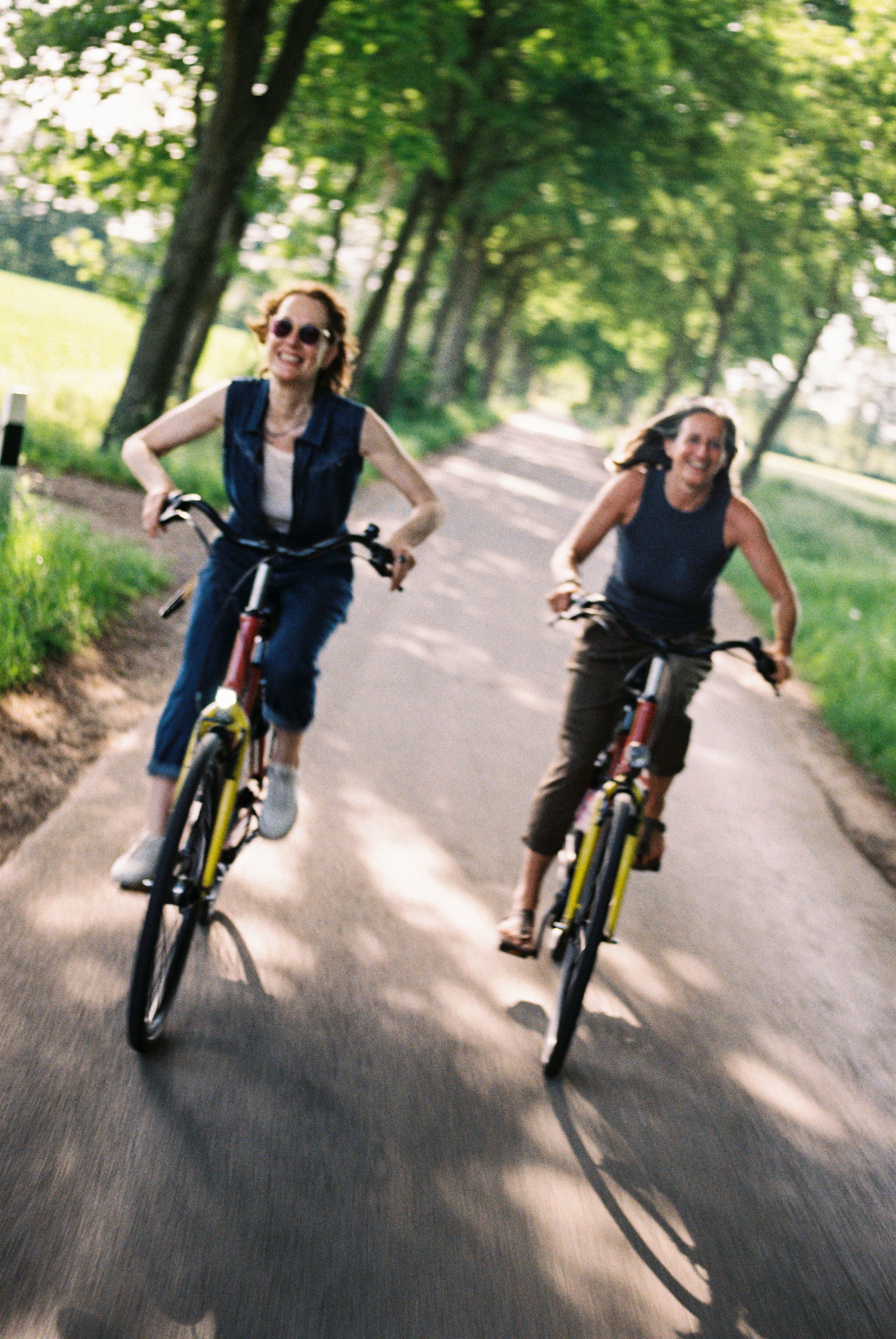 Zwei Frauen fahren Fahrrad auf einer schattigen Allee im Münsterland.