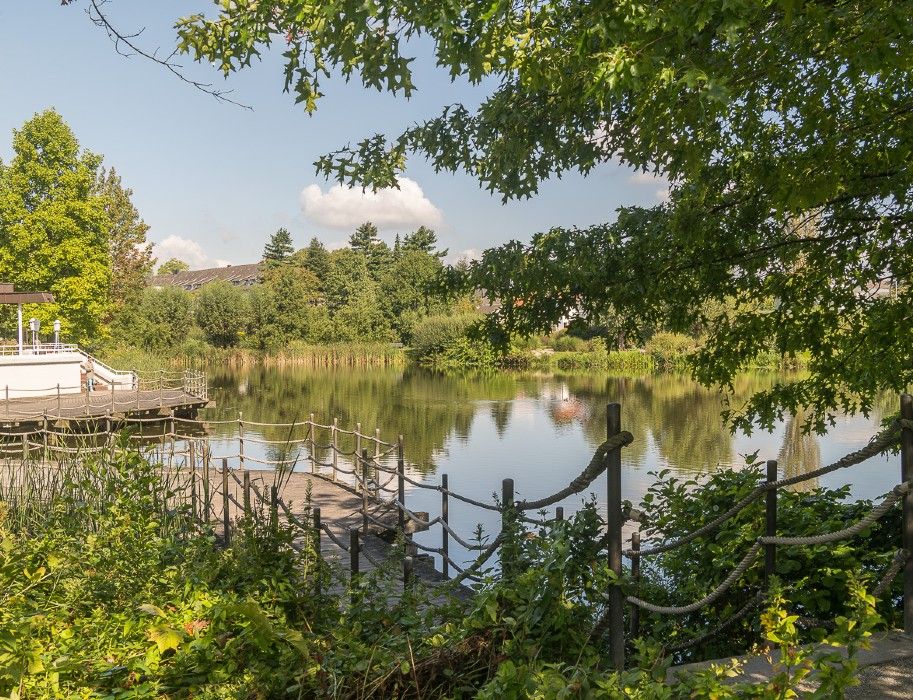 Ein See mit Steg, umgeben von üppigem Grün und Bäumen in Rheda-Wiedenbrück.