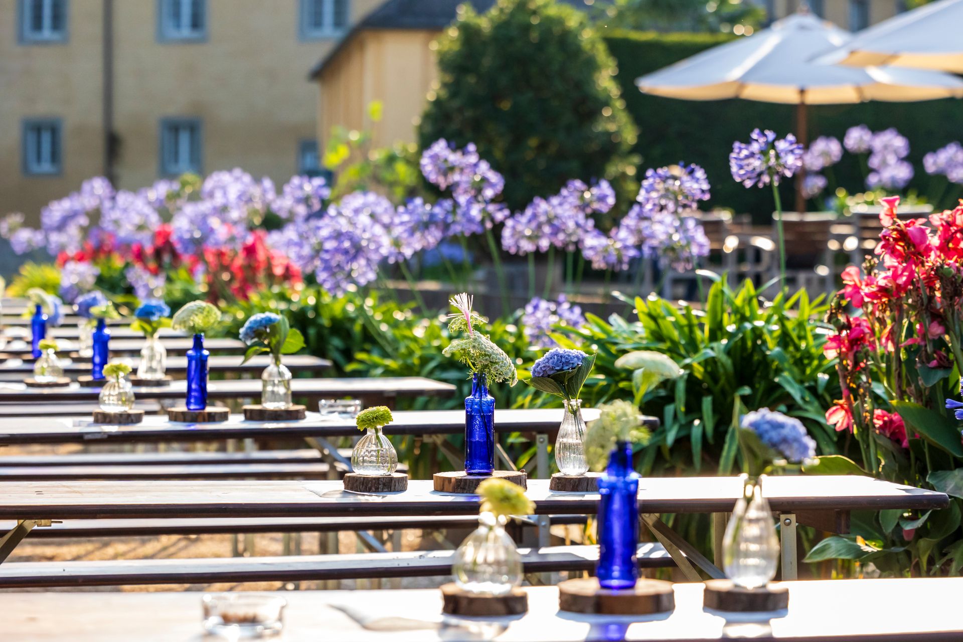 Zur Seite SchlossSommer Schloss Dyck