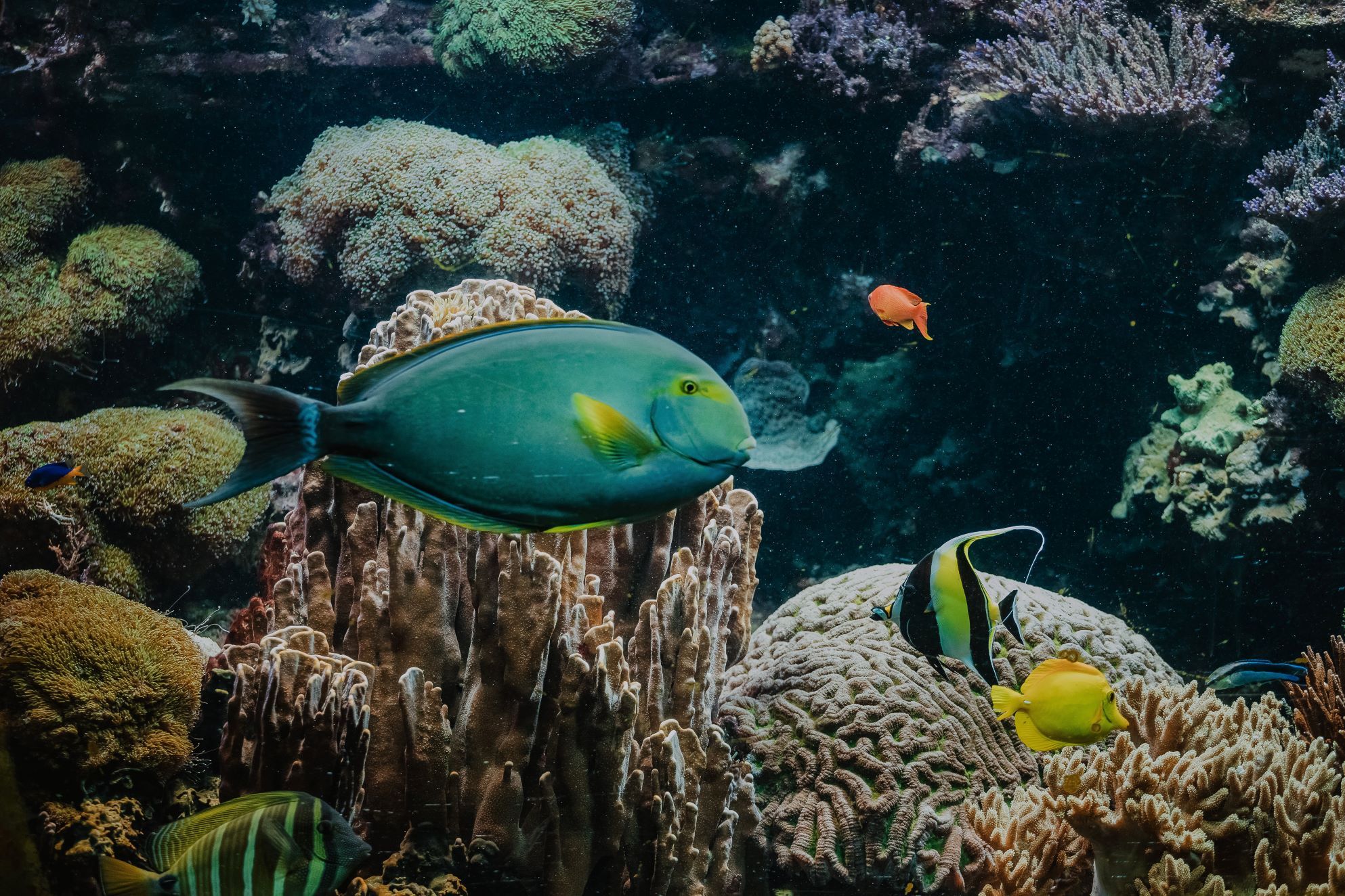 Zur Seite Tierpark und Fossilium Bochum