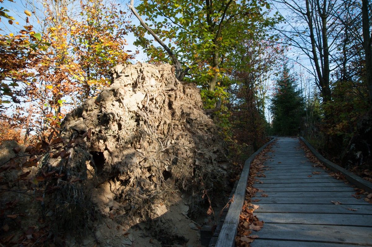 Reisende durchstreifen die Natur und finden beim Wandern zu sich