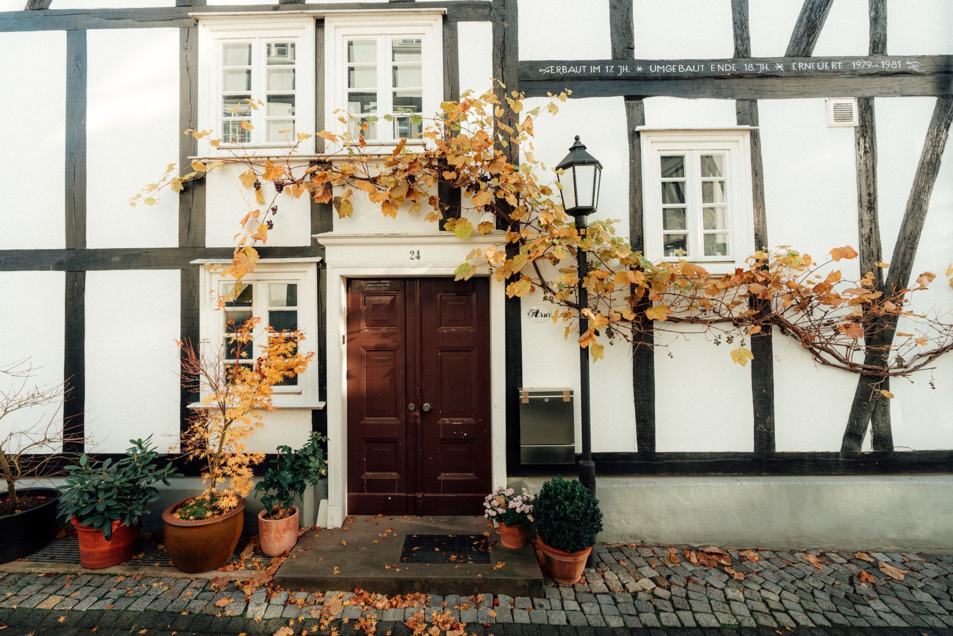 Fachwerkhaus mit Weinranke, die herbstlich-orange gefärbt ist