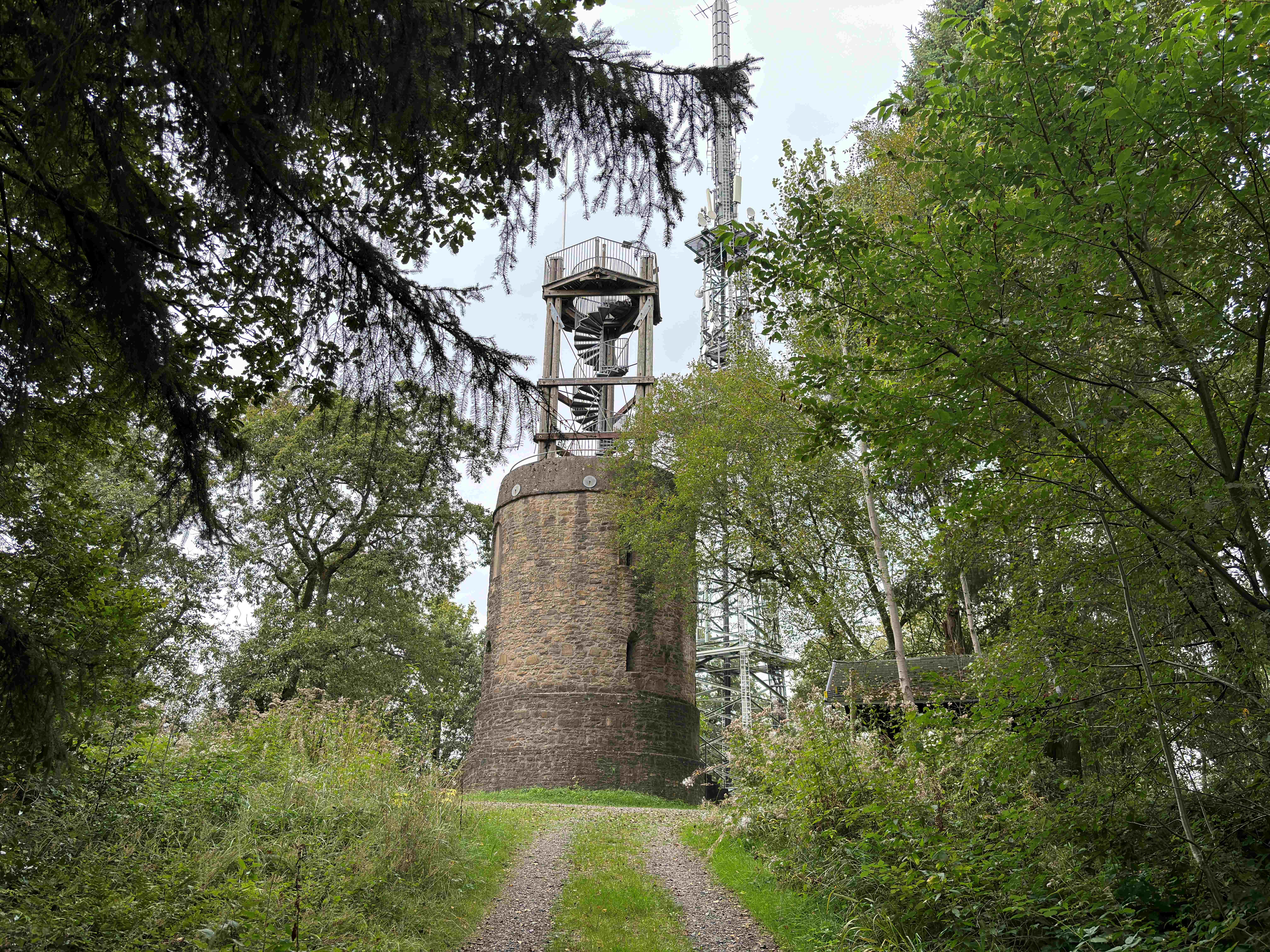 Ein steinerner Aussichtsturm, die Hohe Warte, steht inmitten von Bäumen. Ein schmaler Pfad führt zum Turm.