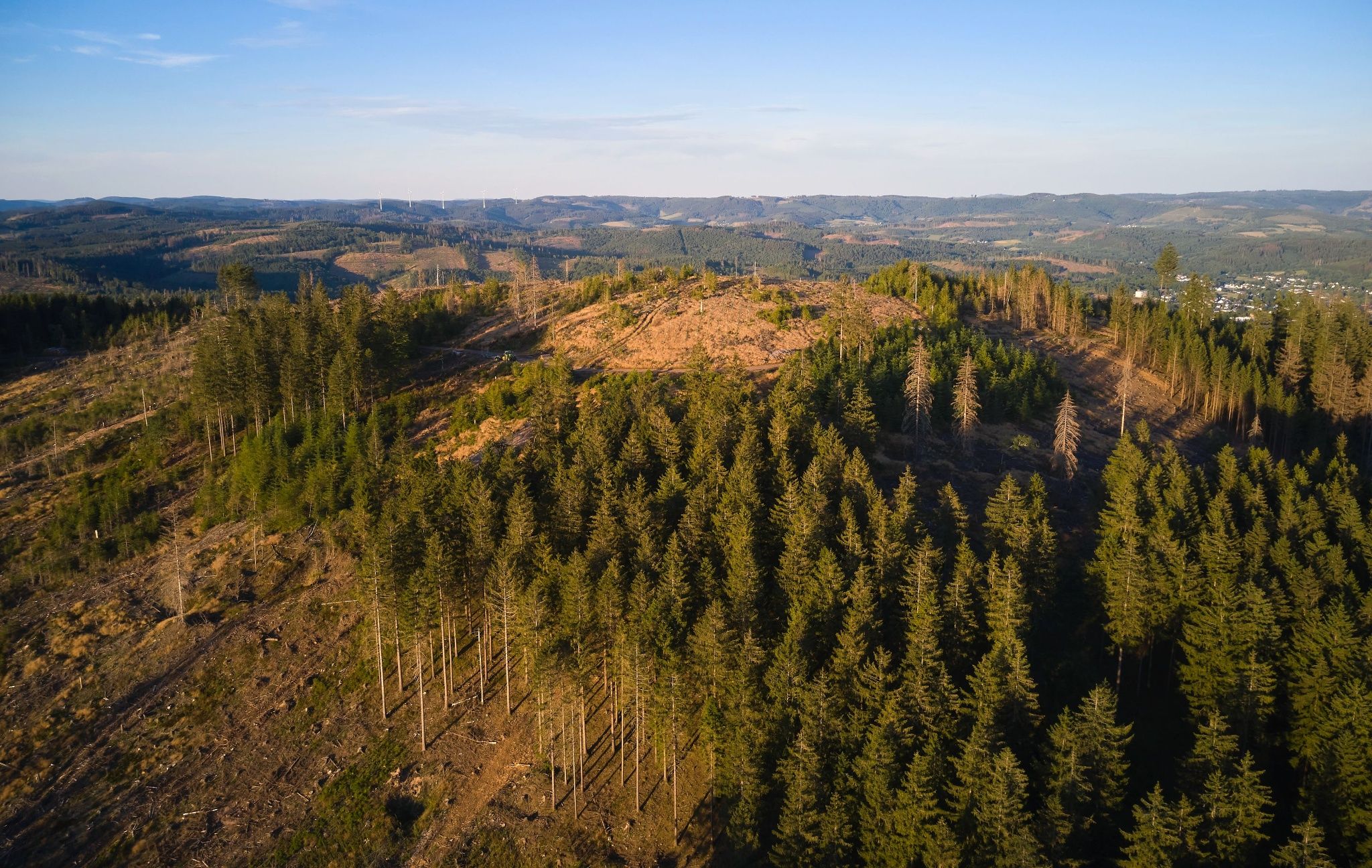 Martinshardt Blick von oben