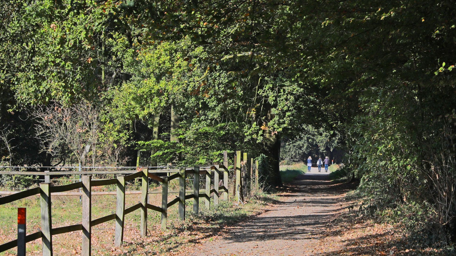Wanderweg am Niederrhein