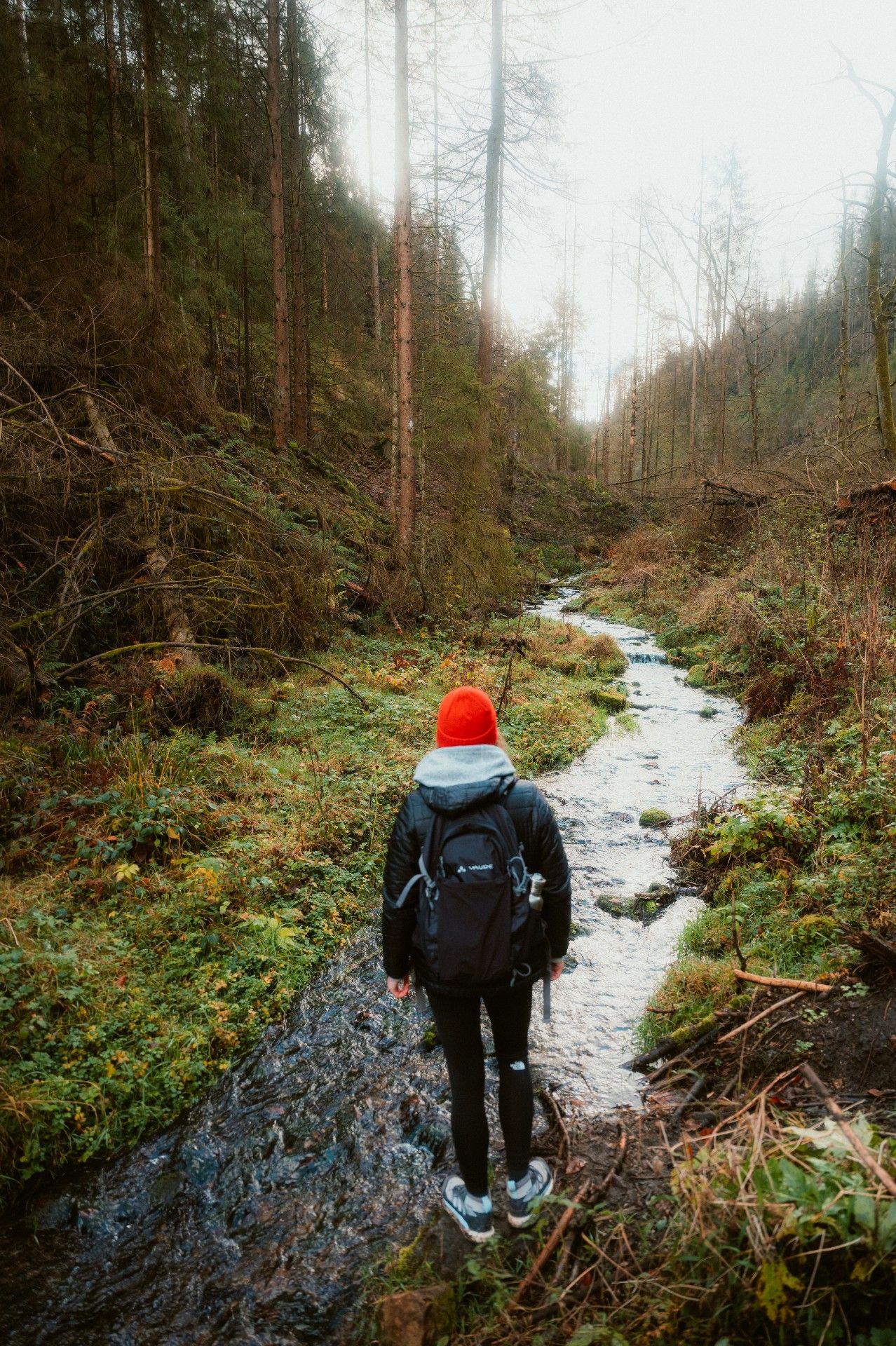 Silberbachtal, Teutoburger Wald