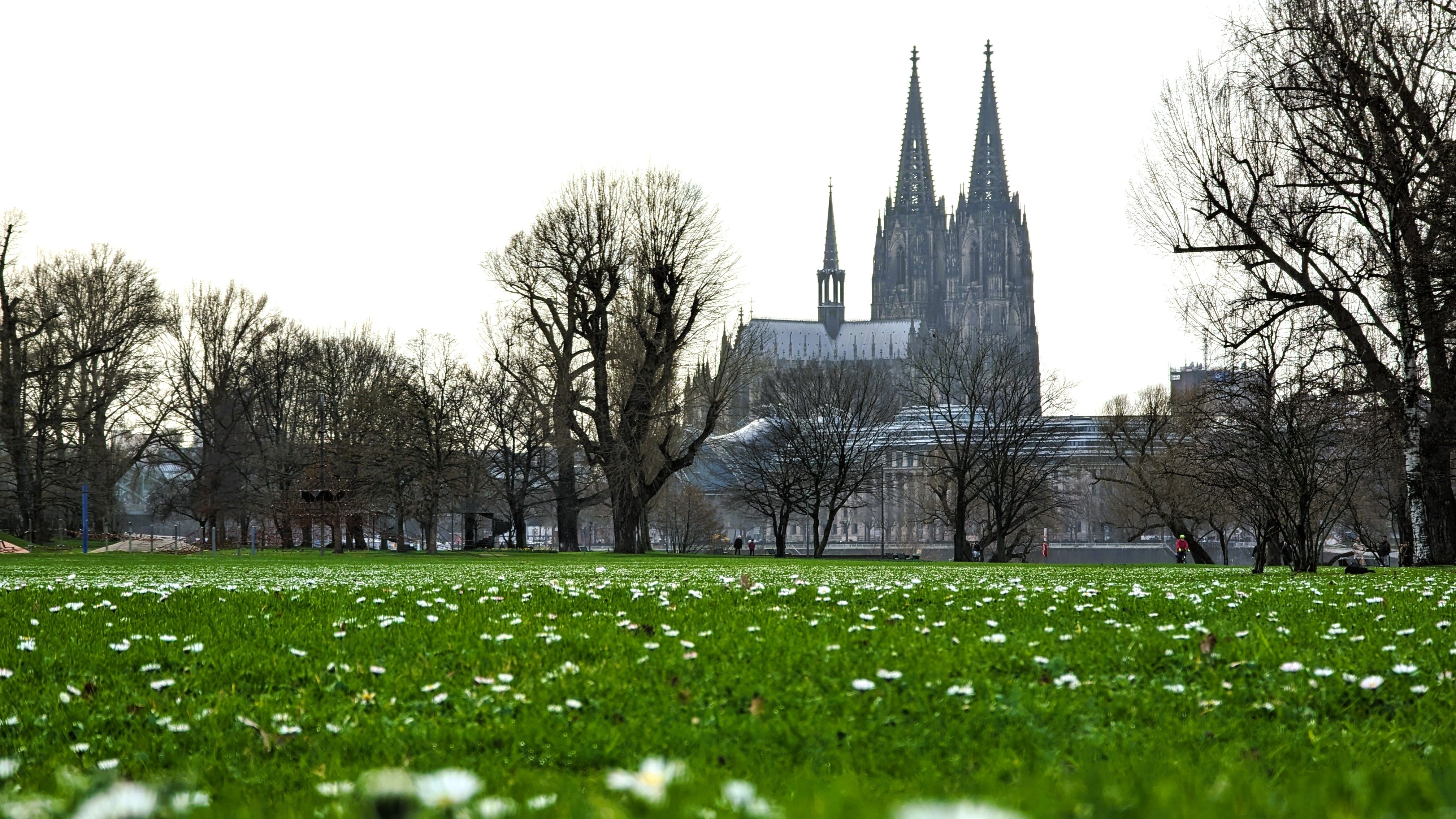 Zur Seite Rheinpark Köln