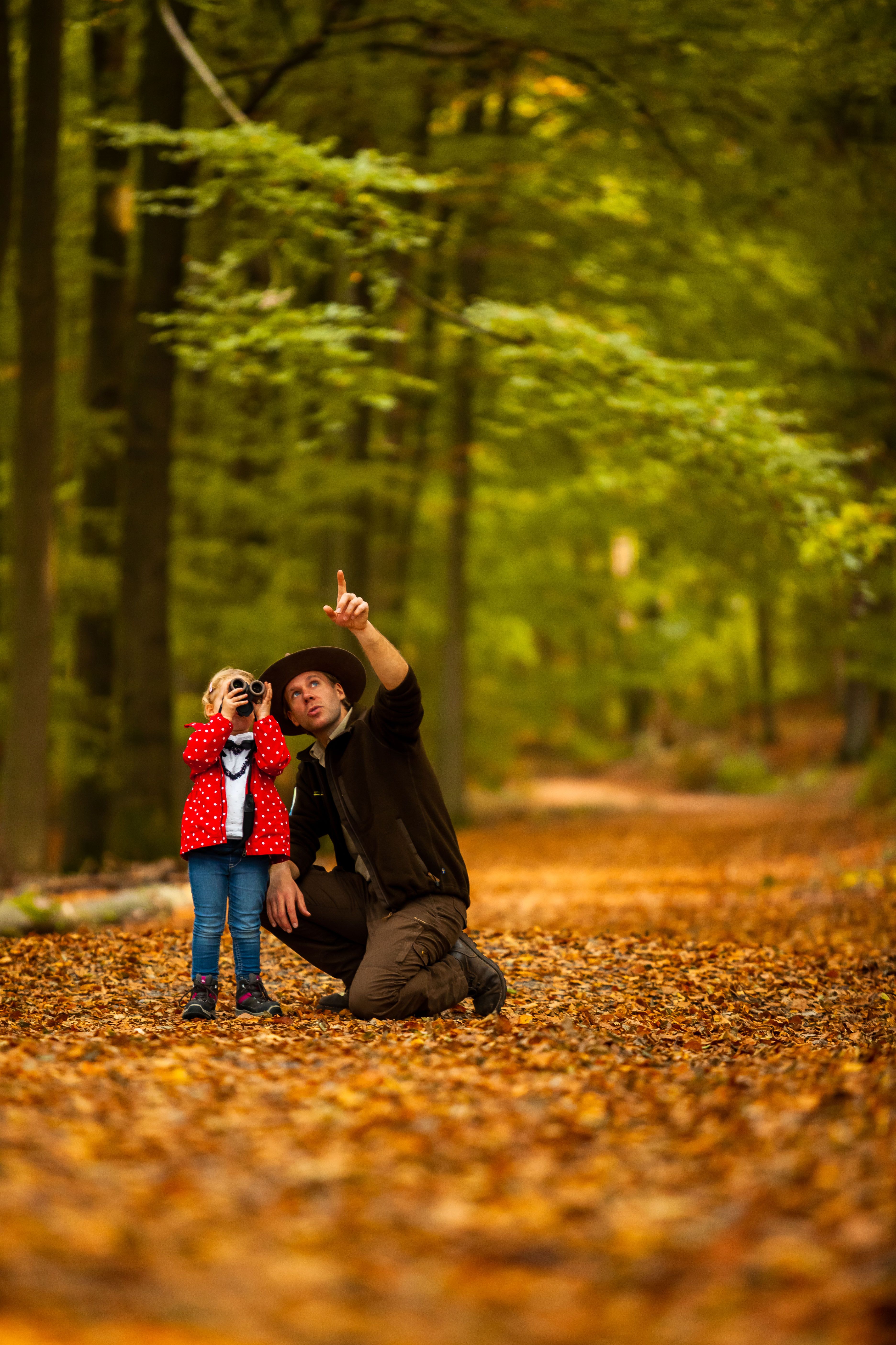 Urfttalsperre Blick auf Staudamm
