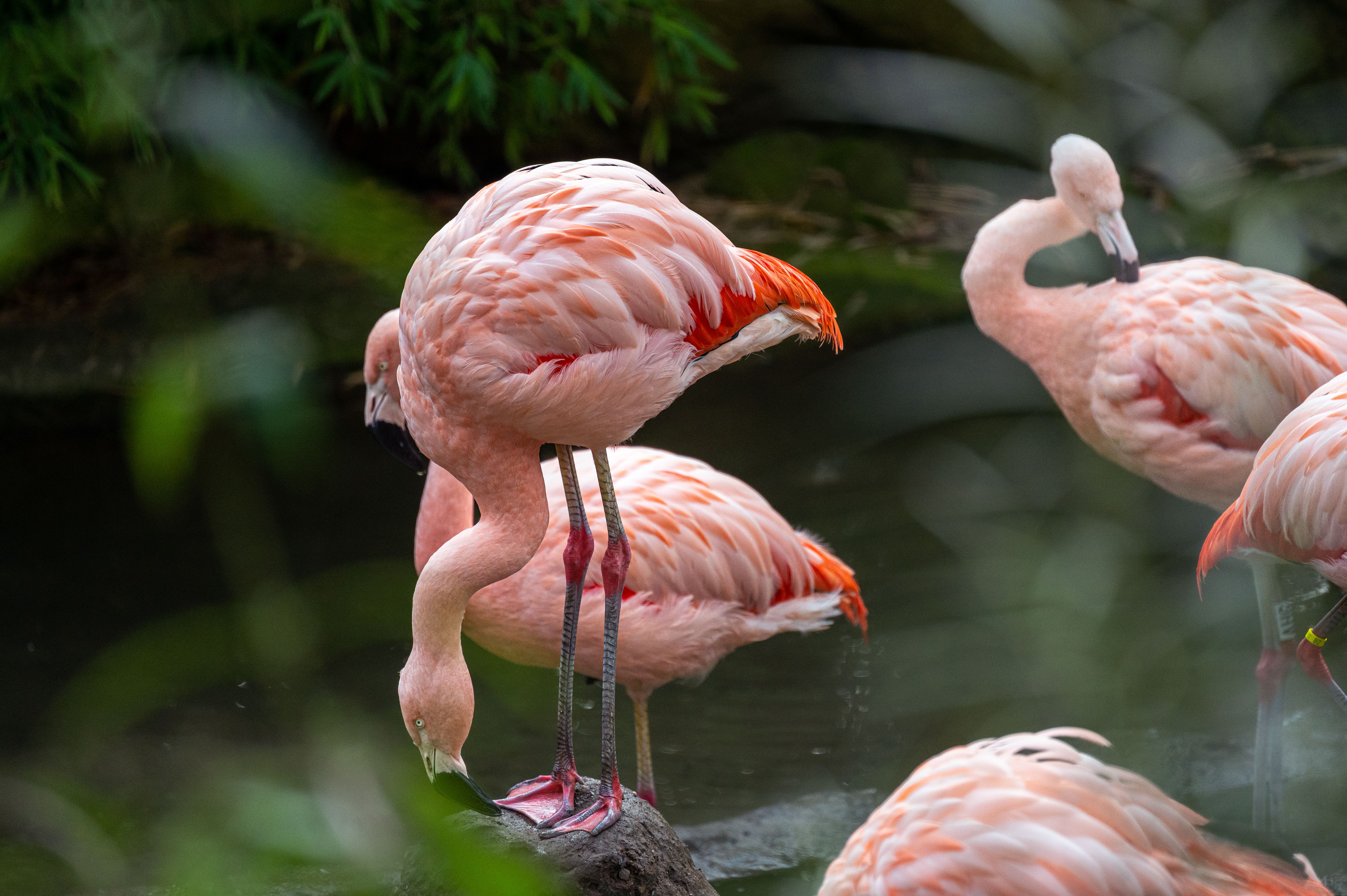 Der Grüne Zoo Wuppertal