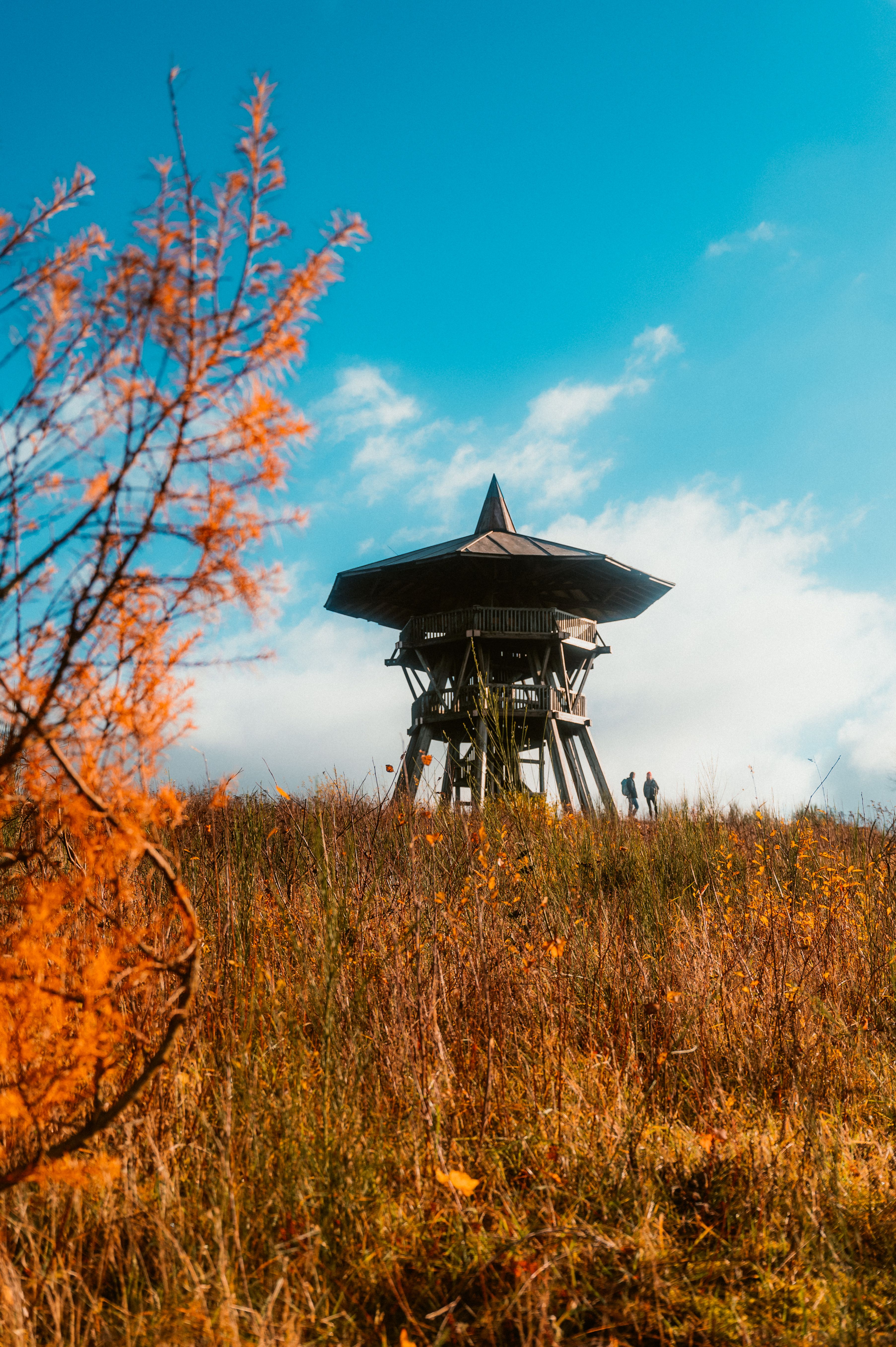 Eggeturm auf dem Velmerstot im Teutoburger Wald