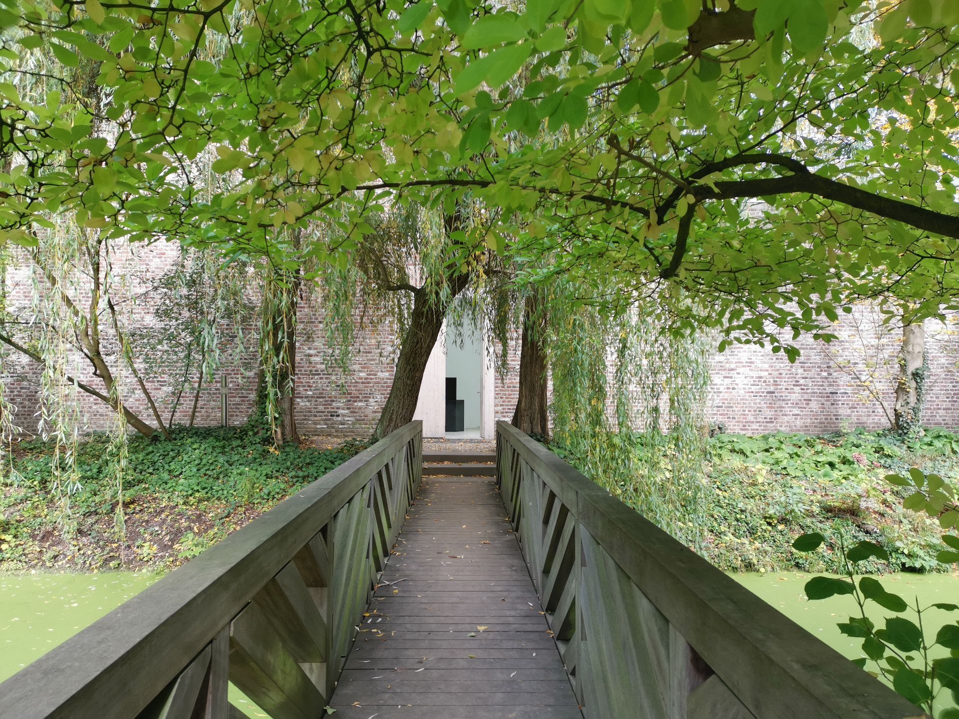 Zur Seite Museum Insel Hombroich