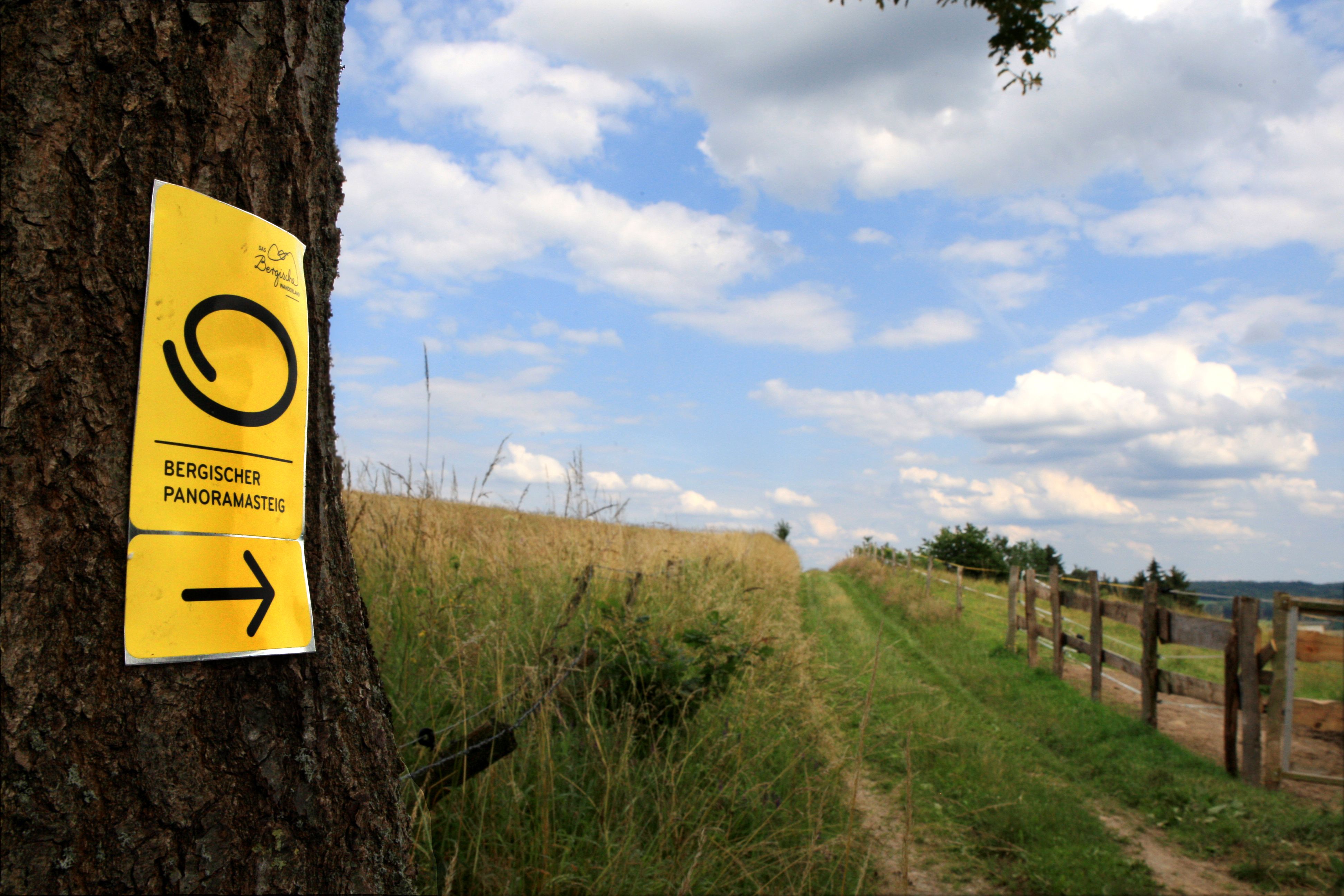 Panoramasteig bei Berkenroth