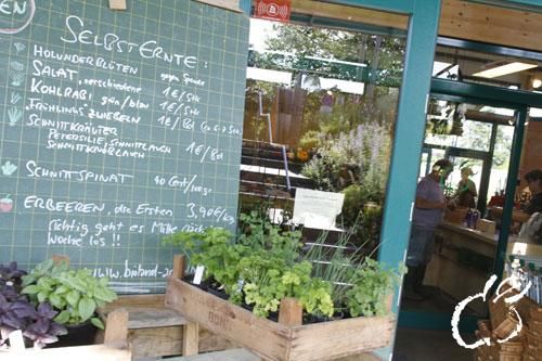 Von Mai bis Oktober lädt der große Naturgarten Gäste zum Verweilen und Selberernten ein