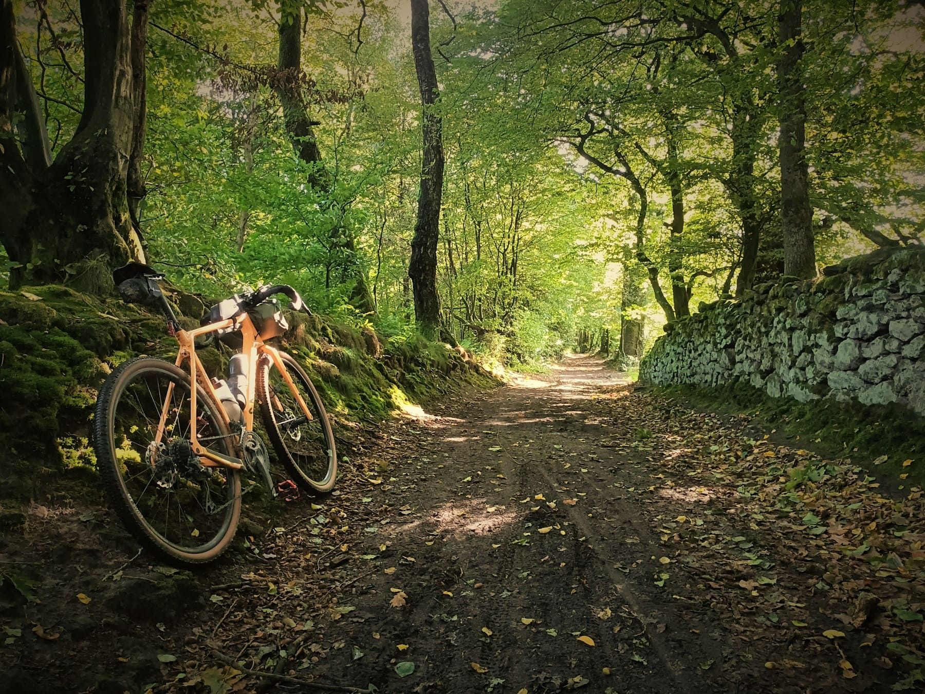 Gravel-Transversale am Fusse des Teuto kurz vor Tecklenburg