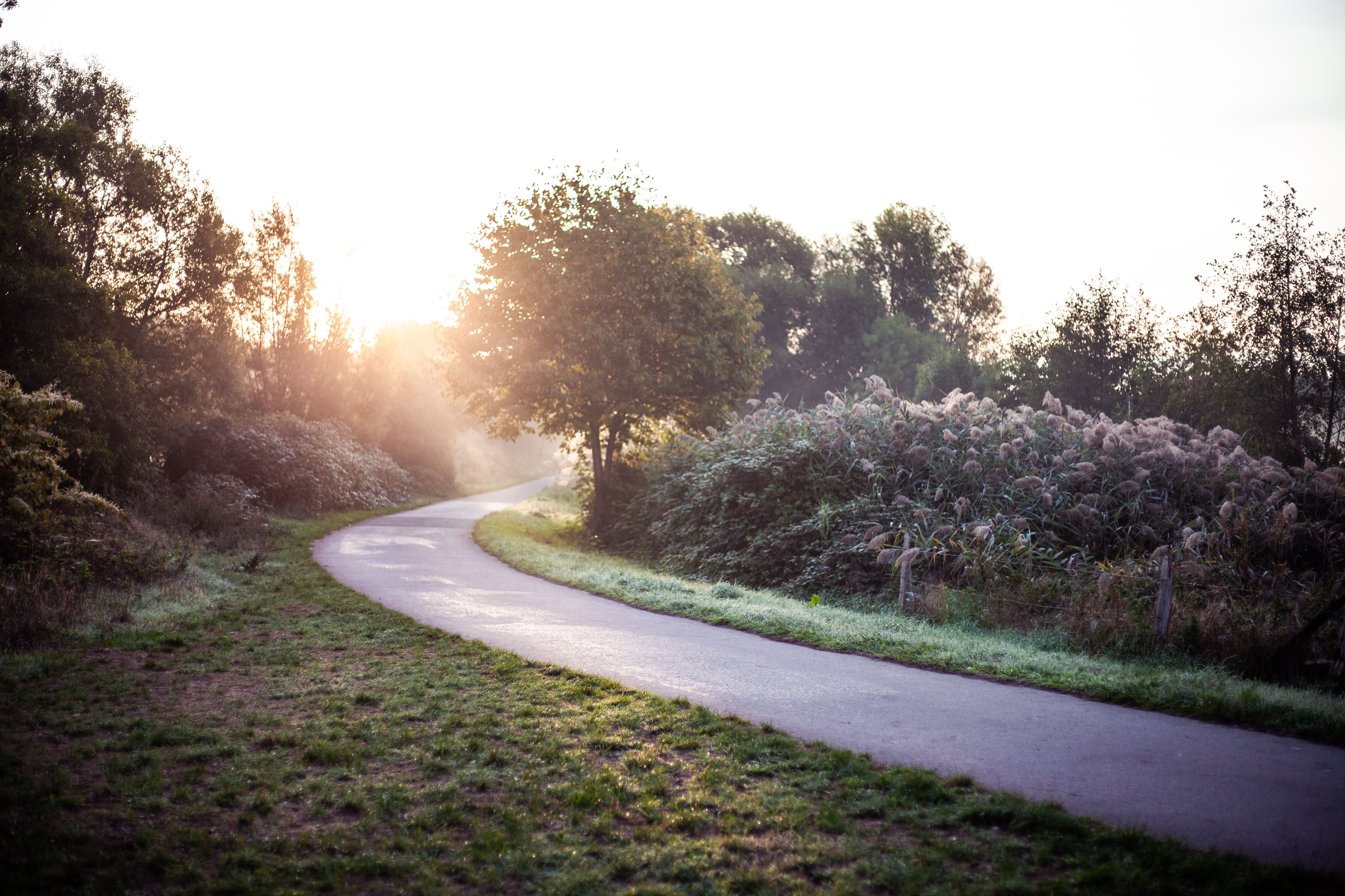 Ruhrtalradweg bei Sonnenaufgang
