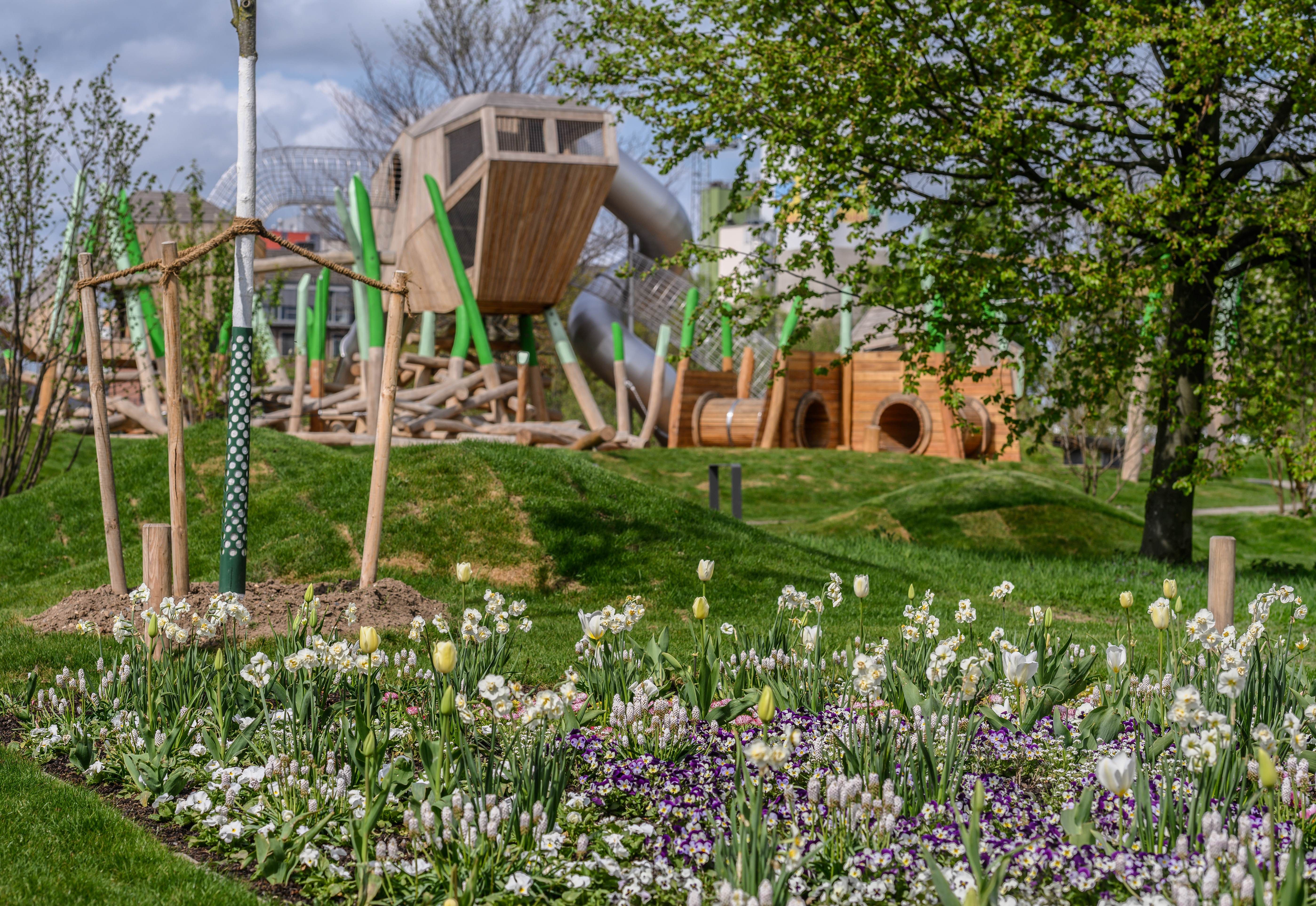 Blumenbeet mit Tulpen und Narzissen vor einem modernen Spielplatz mit Holzkonstruktionen.