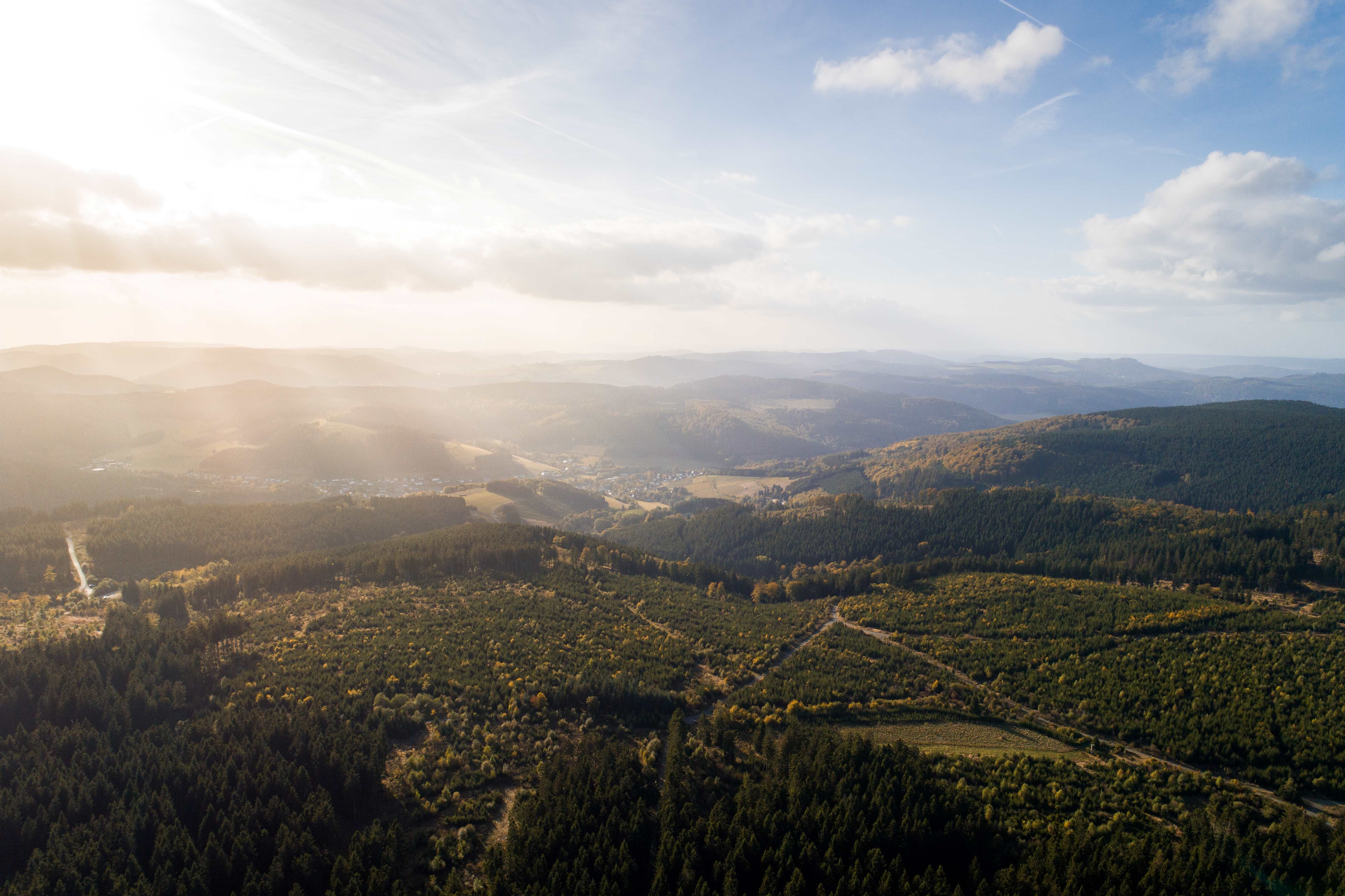 Blick auf Wälder und Hügel im Sonnenlicht
