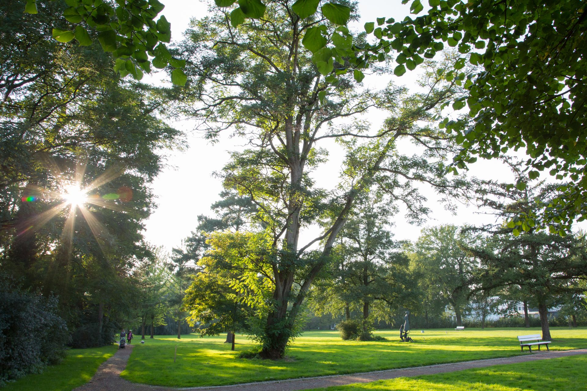 Der Kurpark in Bad Waldliesborn bietet wunderbare Wege im Grünen. Er ist das Ziel am letzten der drei Reisetage
