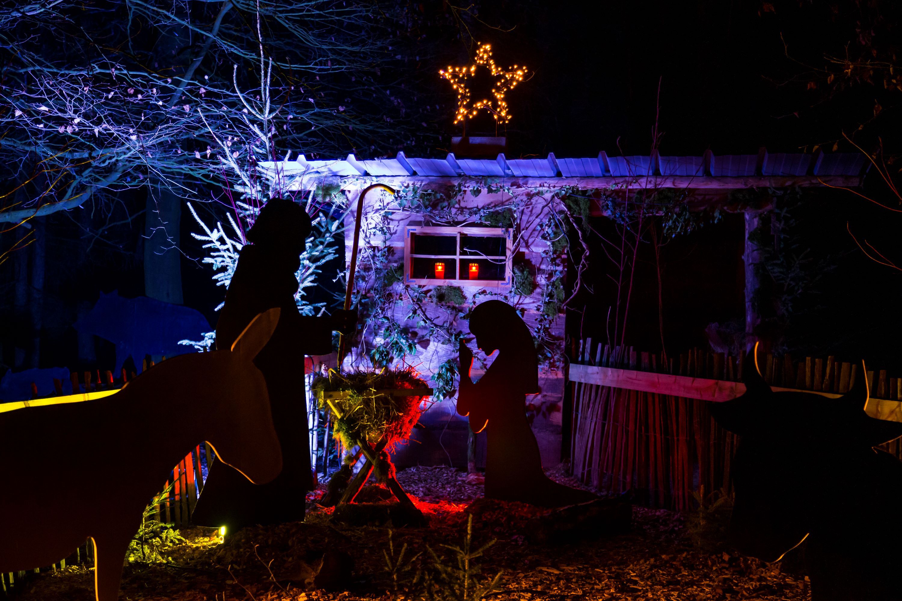 Krippe auf dem Weihnachts-Waldmarkt