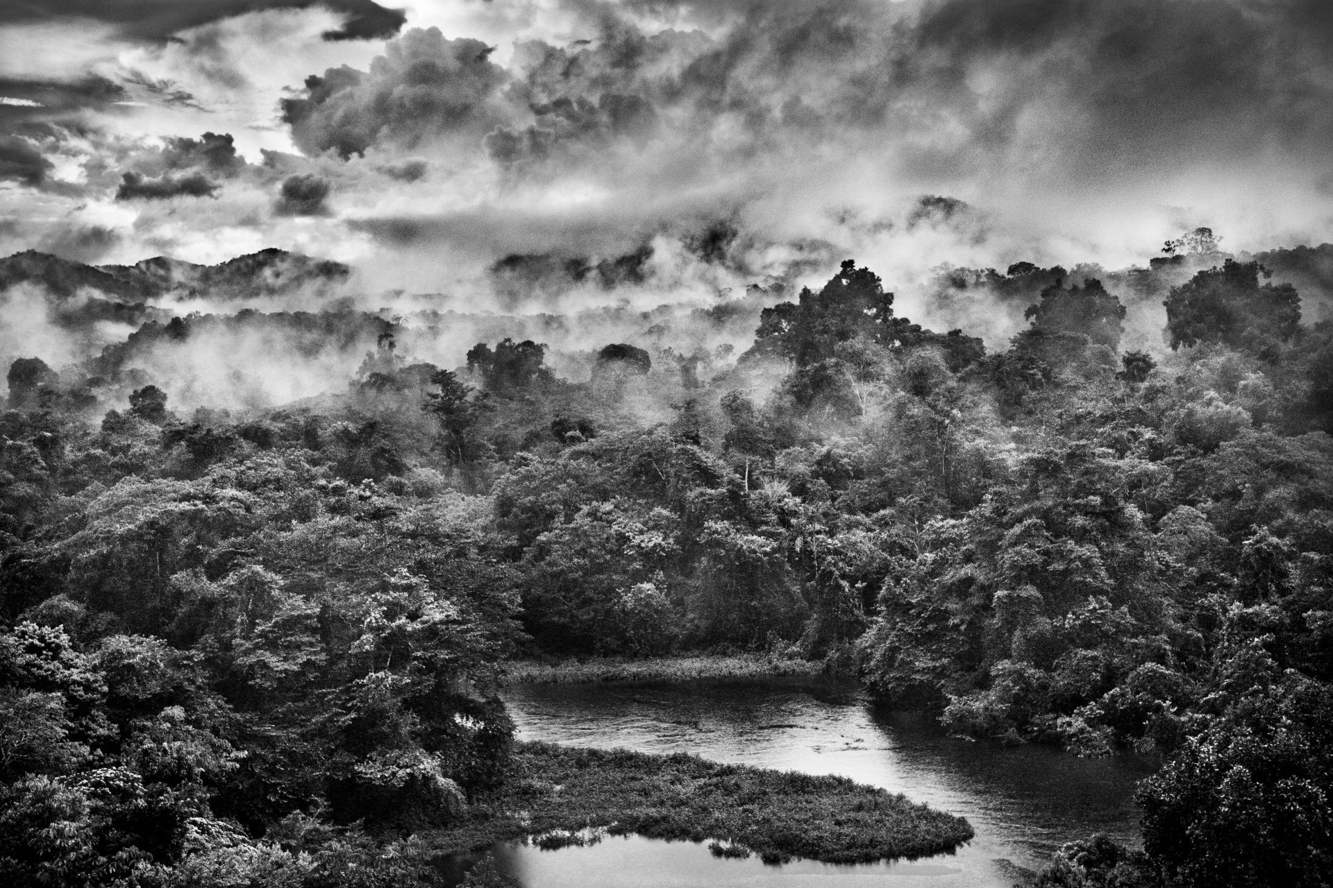 Salgados Fotografien fangen die Schönheit Amazoniens ein
