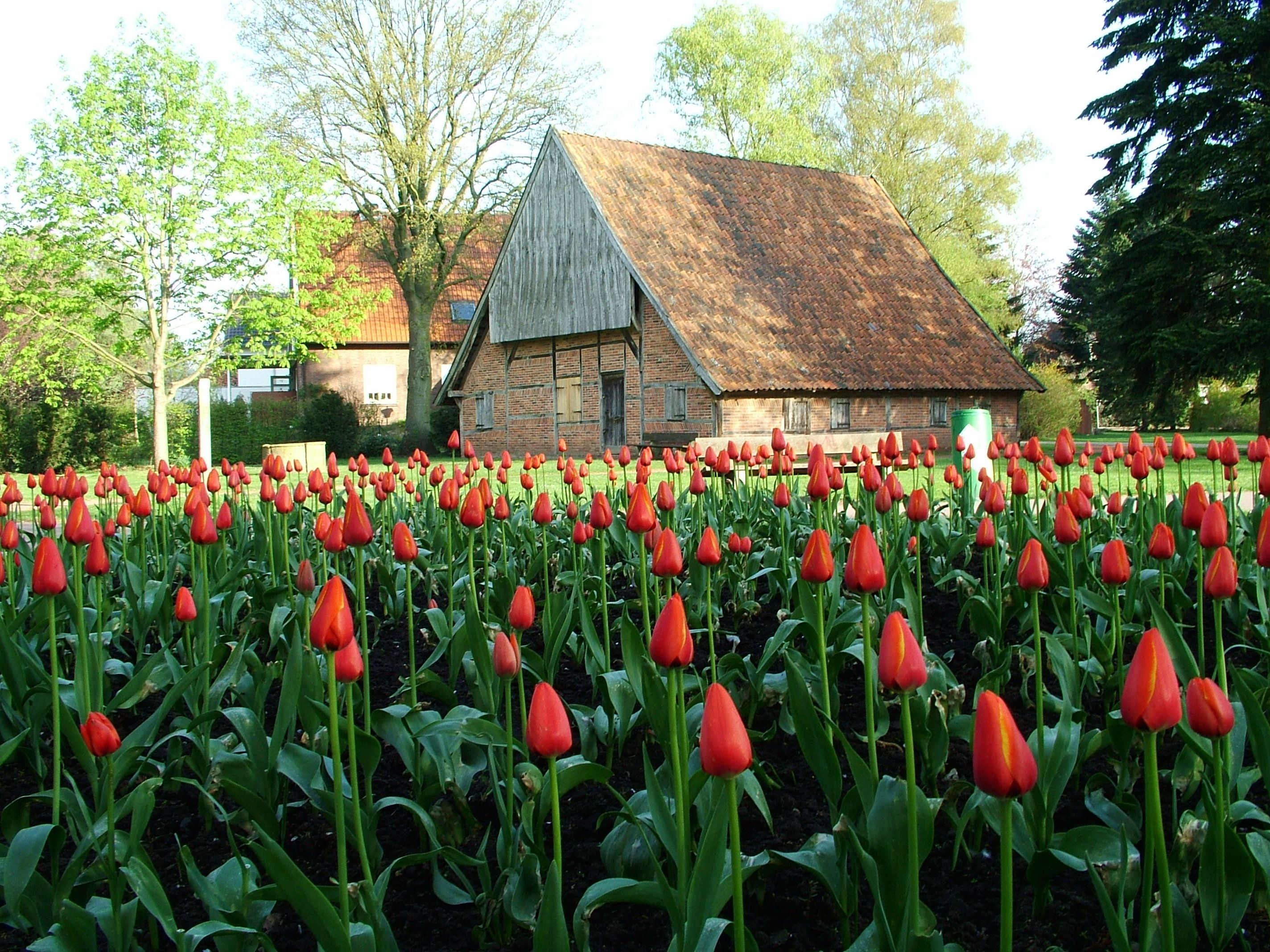 Stadtpark Vreden