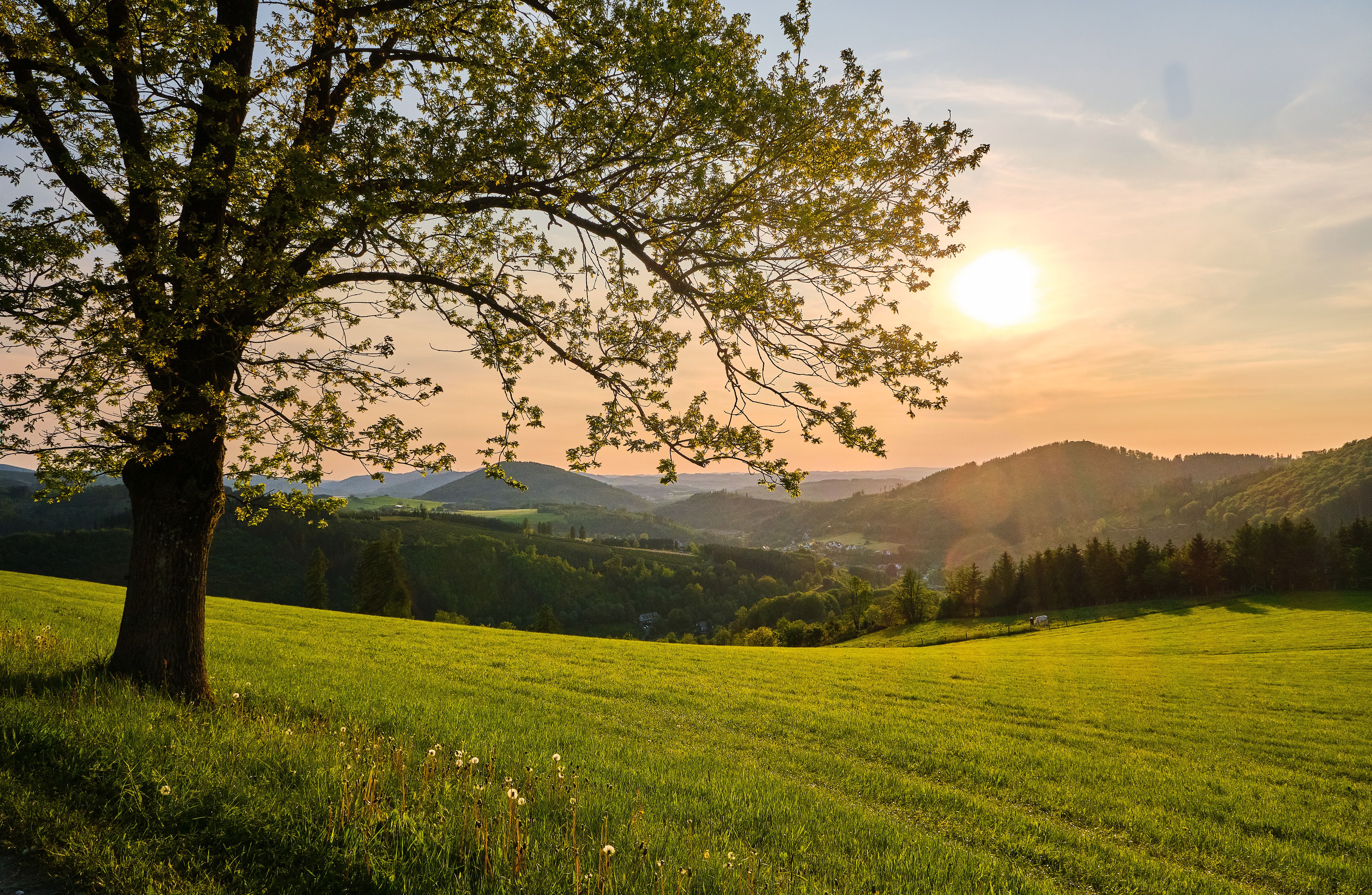 Zur Seite Wanderreise "Von Kloster zu Kloster"