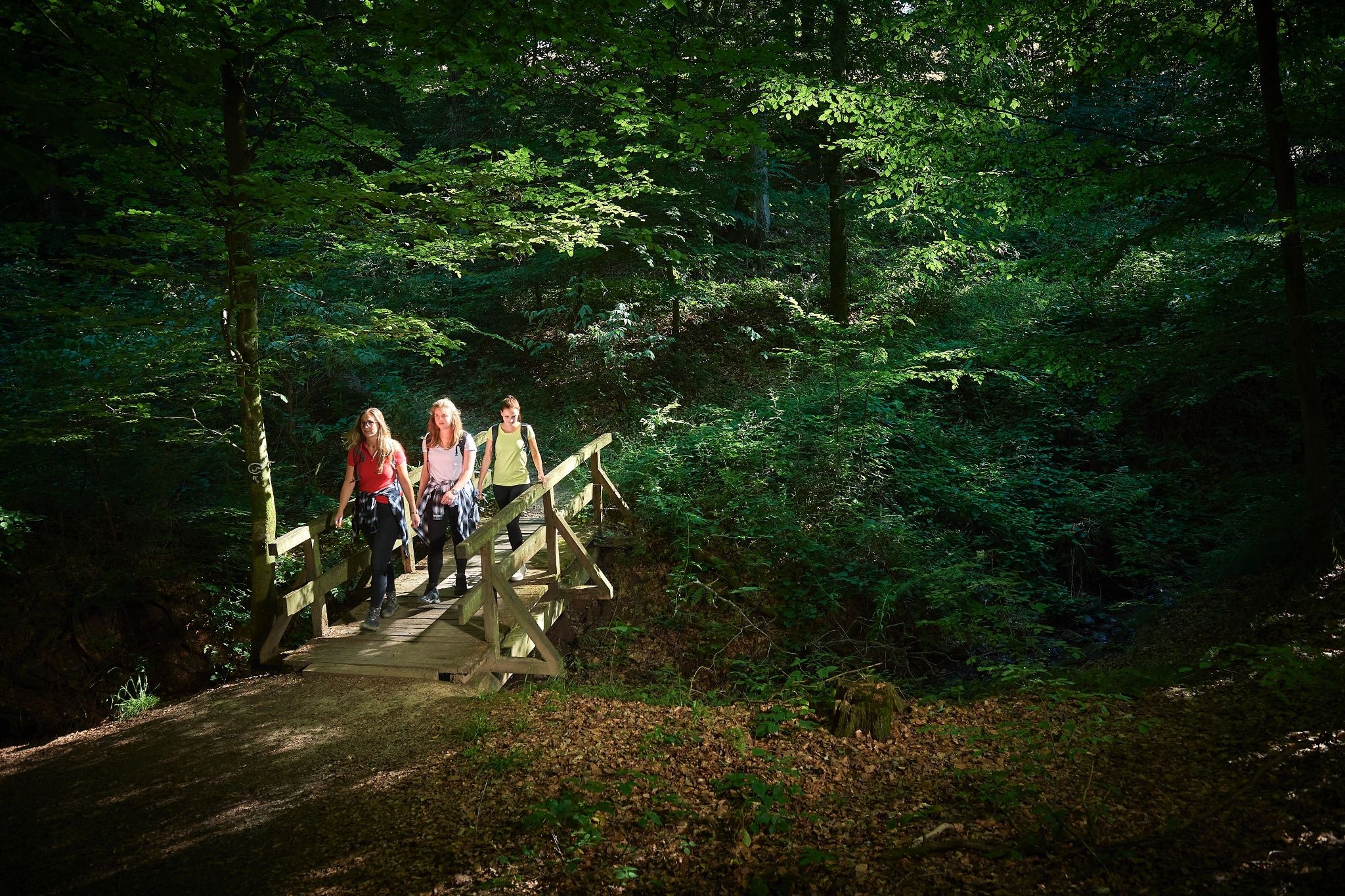 Brücke am Waldrastplatz Brombach