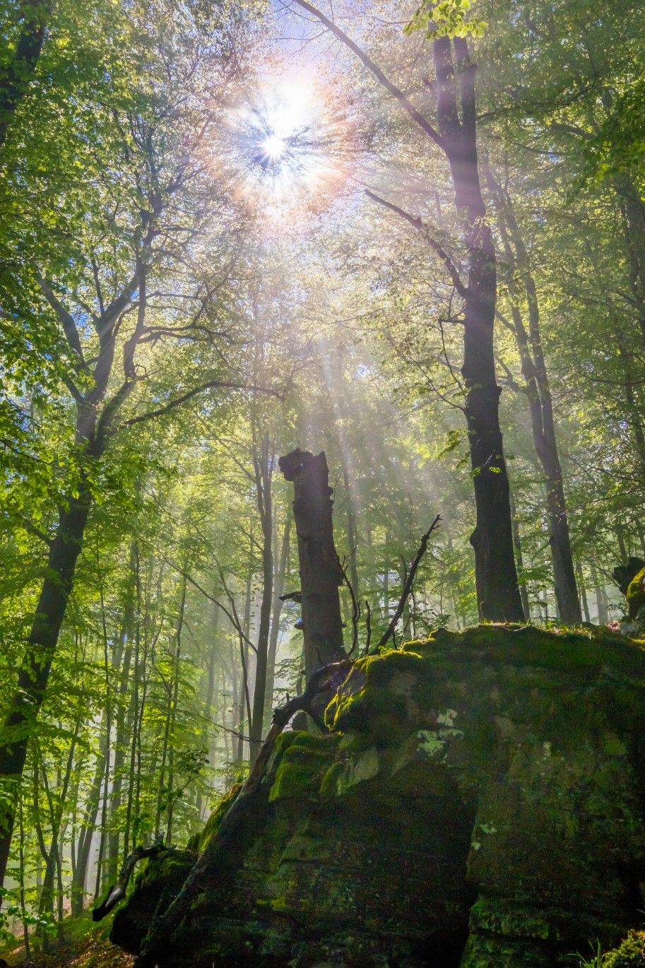 Die Seelenorte im Sauerland berühren emotional, geistig und spirituell