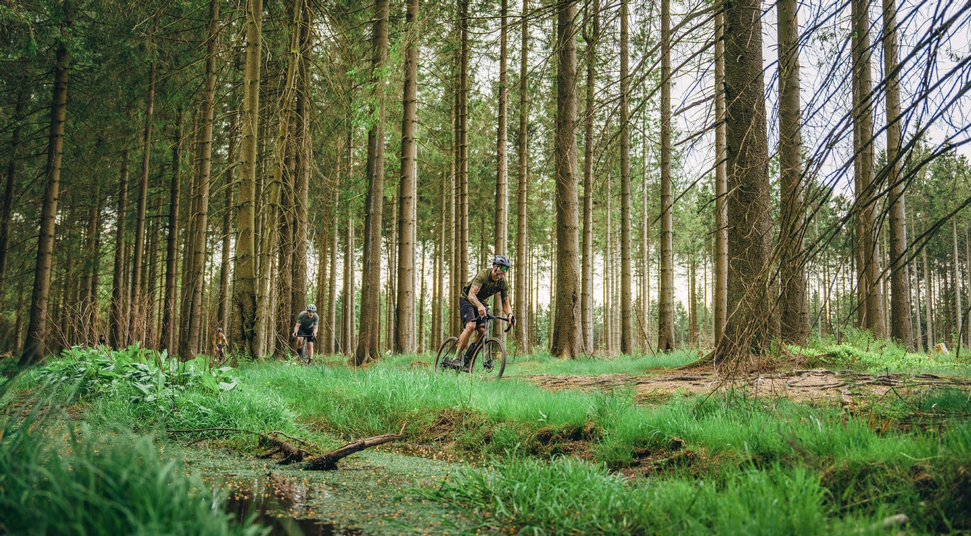 Gravelbiken fahren Singletrail