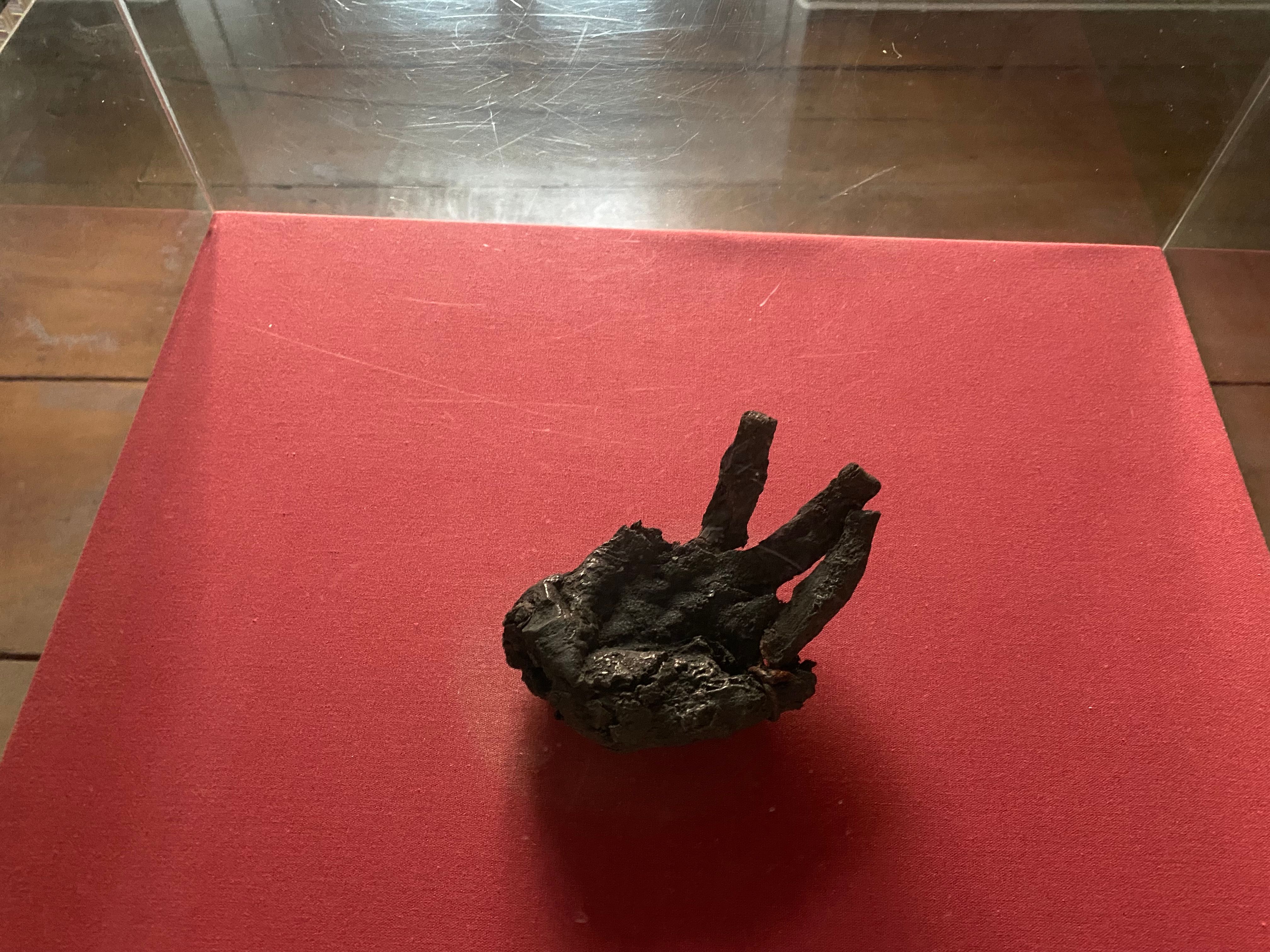 Mumifizierte "Schwarze Hand" liegt in Vitrine