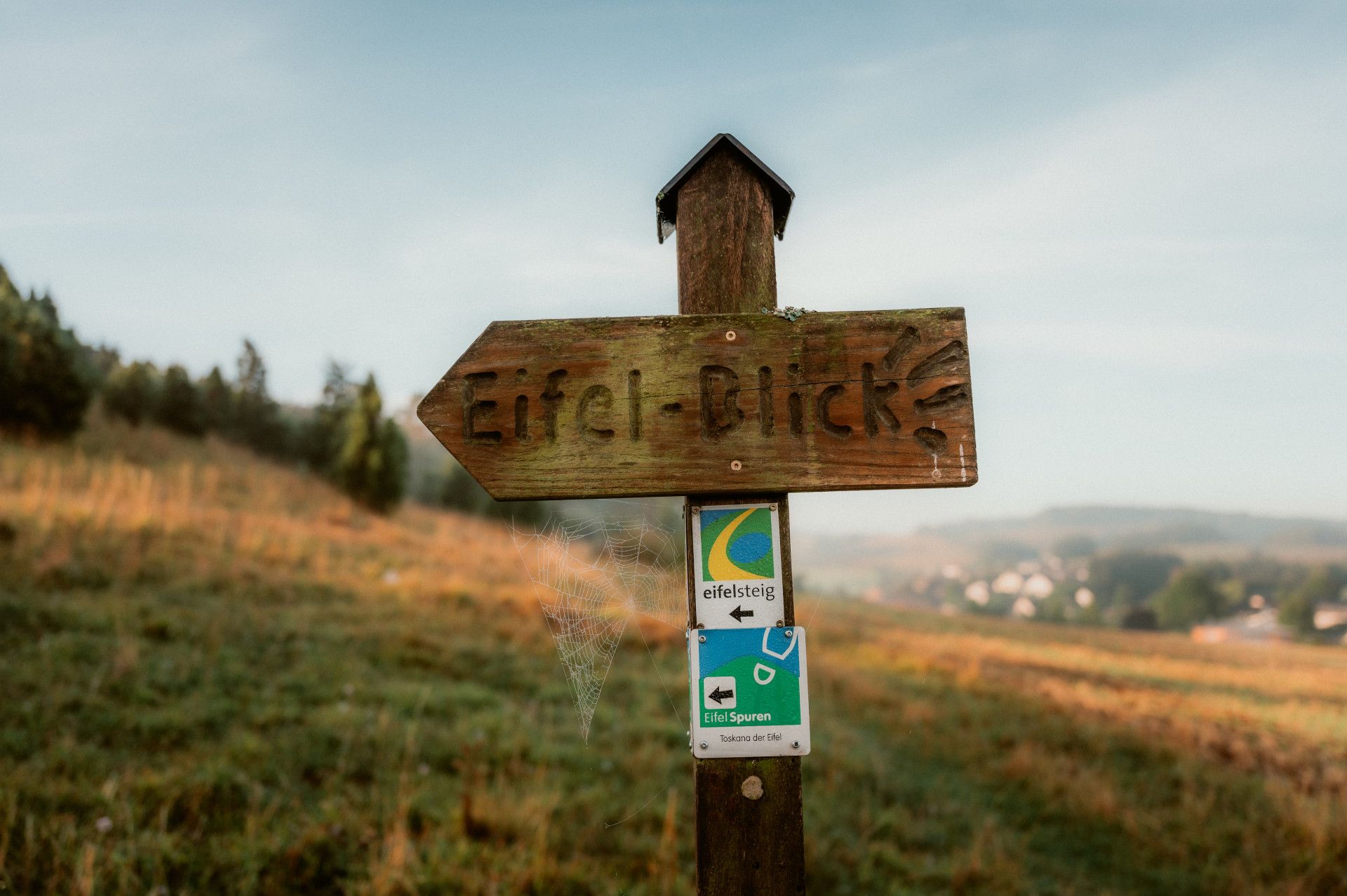 Ein Holzwegweiser mit der Aufschrift 'Eifel-Blick' steht auf einer Wiese. Darunter sind Schilder für den Eifelsteig und Eifel Spuren angebracht.
